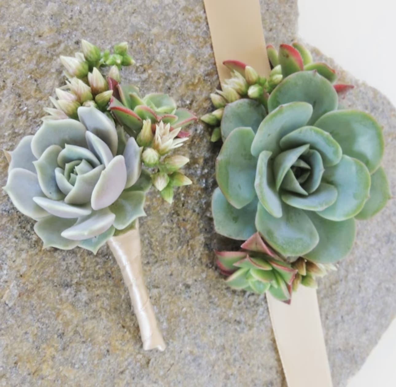 By My Side Succulent Corsage &amp; Boutonniere Set  - By My Side Succulent Corsage &amp; Boutonniere Set 