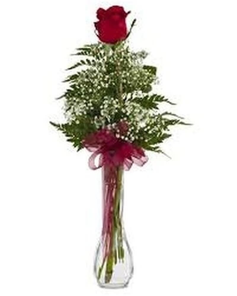 Single red rose with baby's breath in a tall clear glass vase with red ribbon bow