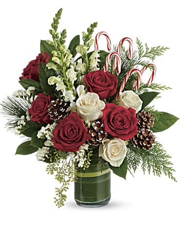 Red and white roses in a glass vase with candy canes and pinecones