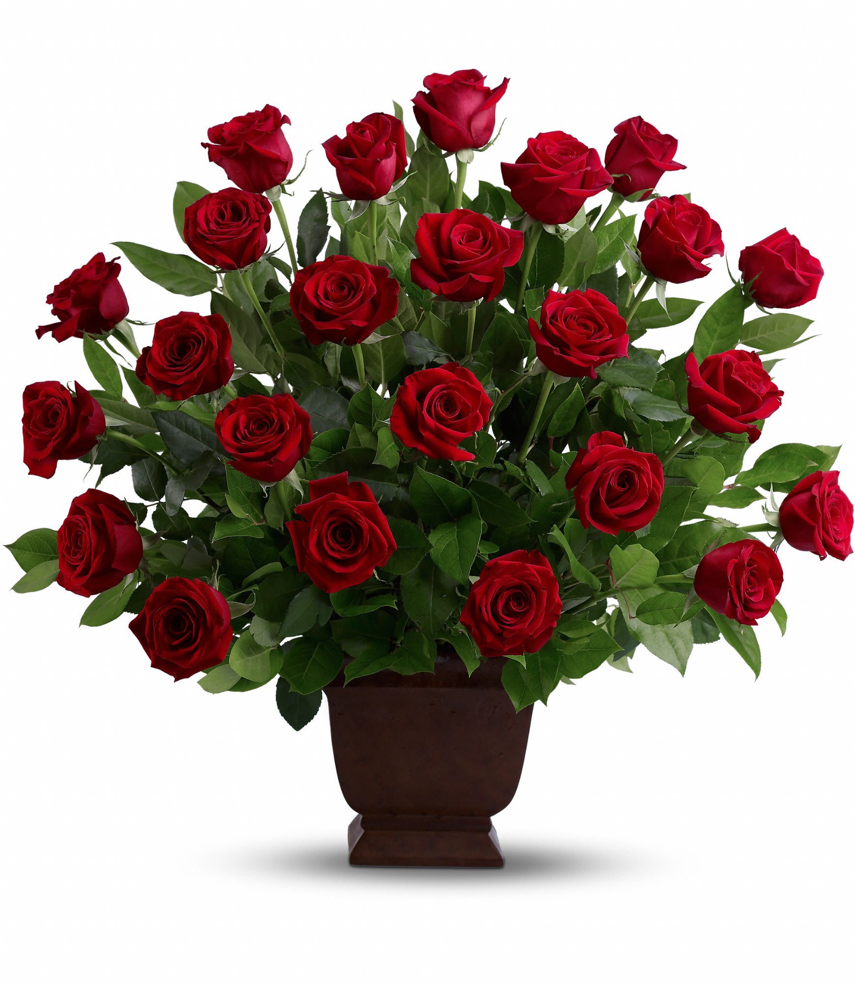 Teleflora's Rose Tribute - Two dozen traditional, ruby-red roses arranged in a classic urn will create an outstanding show of respect for a beloved friend, family member or business associate. An appropriate and timeless gesture of affection and dedication.  Two dozen red roses – accented with greenery – are arranged in a Teleflora Noble Heritage urn.  Approximately 24" (W) x 27" (H)  Orientation: One-Sided      As Shown : TFWEB550  