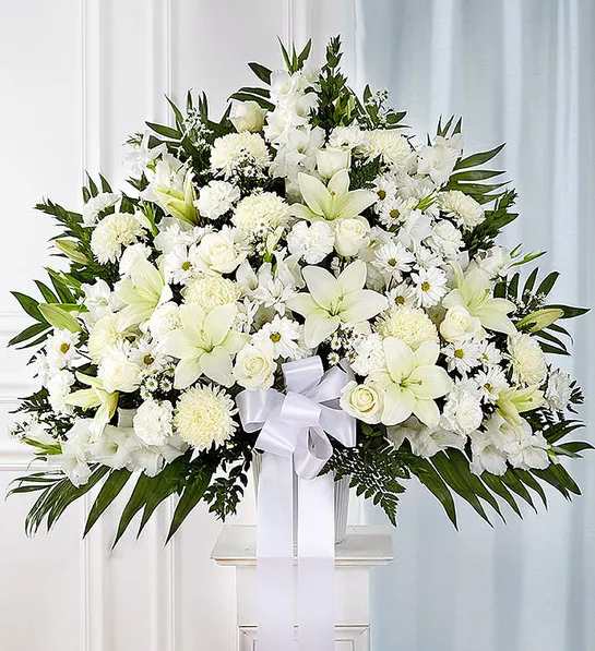 Heartfelt Sympathies White Funeral Standing Basket - Symbolizing peace, serenity and purity, white flowers can help comfort those grieving the loss of someone they loved dearly. Our majestic standing basket arrangement in angelic white is an impressive tribute to their memory. Artistically designed by expert florists with an abundance of pristine white blooms, it is a heartfelt expression of your deepest sympathies.All-white standing basket arrangement with roses, Asiatic lilies, football mums, gladiola, carnations, daisy poms and monte casino; accented with soft, lush greenery and white bow