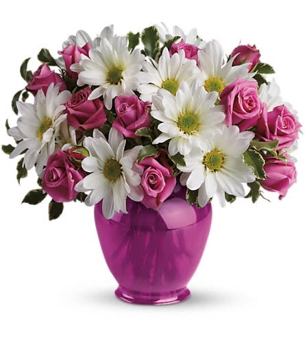 Teleflora's Pink Daisy Delight - Do you know someone who is feeling under the weather? Chase away the clouds and bring on the sunshine with white daisies and pink roses in a classic fuchsia ginger jar. They'll love the gift and you'lll love the sunny price. The charming bouquet includes pink spray roses and white daisy spray chrysanthemums accented with fresh greenery.Delivered in a fuchsia ginger jar vase.Approximately 12" W x 11 1/2" H Orientation: One-Sided As Shown : TEV07-1ADeluxe : TEV07-1BPremium : TEV07-1C