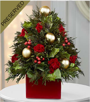 Deck the Halls Everlasting Holiday Tree - The Deck the Halls Everlasting Holiday Tree is the perfect gift for friends and family throughout the Christmas season! Full of charm and holiday cheer, this Christmas tree consists of preserved cedar, salal, red celosia, and red berries designed upon a tree foam base. Standing on a wooden box and accented with gold metallic ornaments, this holiday tree can easily be added to any interior décor or used as a centerpiece for yuletide gatherings to bring the regal colors and textures of Christmas into a home or office. Measures: 10"L x 10"W x 14"D. Do not place in direct sunlight as the coloring may fade. Not intended for outdoor use. Your purchase includes a complimentary personalized gift message.