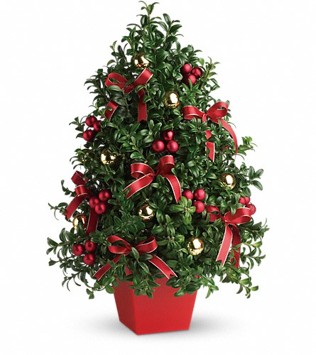Deck the Halls Tree - Don't let a lack of space dampen your spirits! This "tree" made of holiday greens festive ornaments and ribbon will deck anyone's halls in style! English boxwood red and gold ornaments and yards of beautiful ribbon make this tree as festive as any!Approximately 14 1/2" W x 21 1/2" H Orientation: All-Around As Shown : T134-1ADeluxe : T134-1BPremium : T134-1C