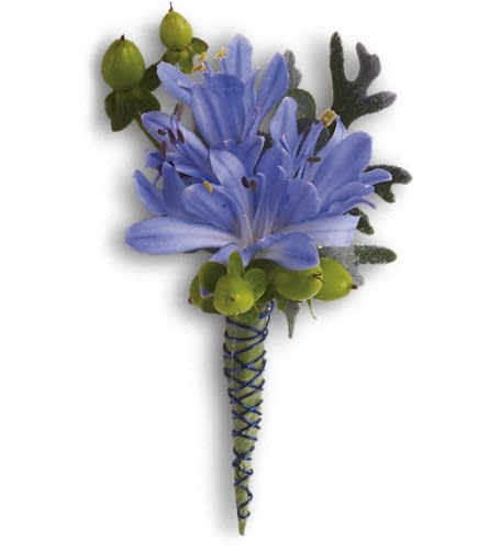 Bold and Blue Boutonniere - Beautiful blue agapanthus is a heavenly accessory. Blue agapanthus green hypericum and dusty miller.Approximately 2 1/2" W x 4 1/4" H Orientation: N/A As Shown : T203-4A