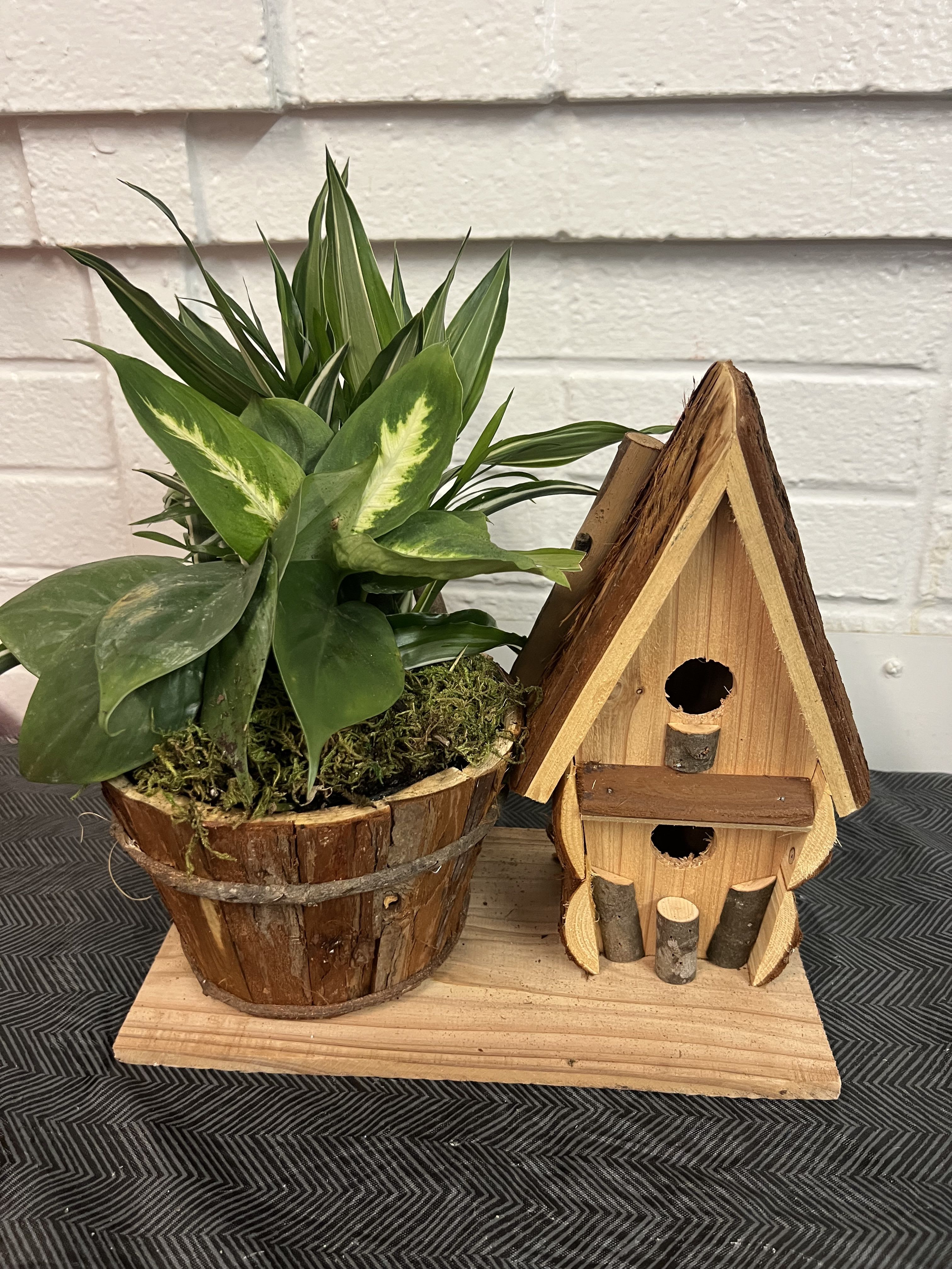 Potted green houseplant in a rustic wooden basket beside a small wooden birdhouse