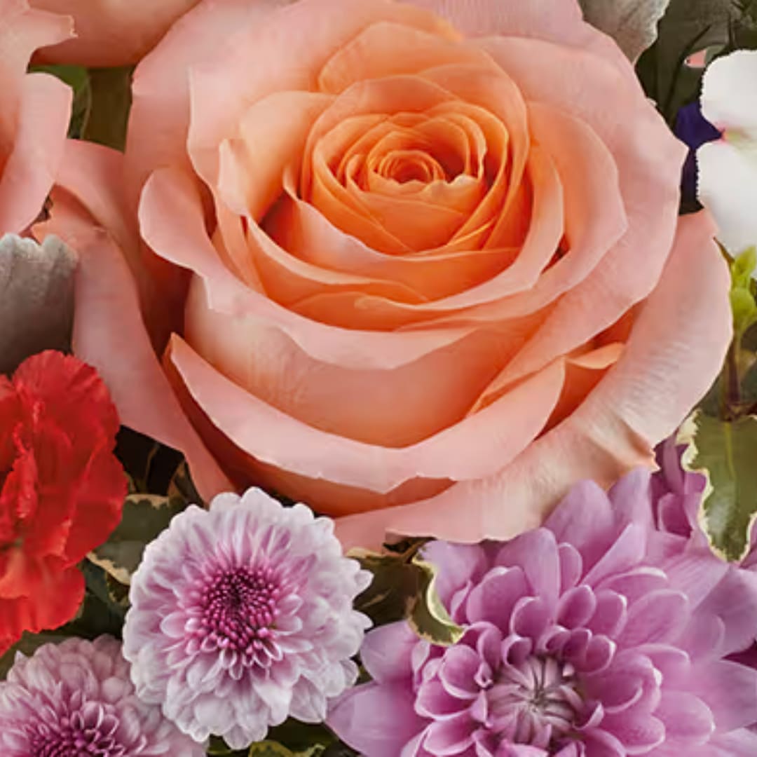 Close-up of a peach rose surrounded by pink, purple, and red flowers