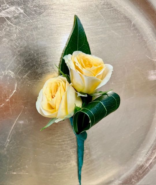 Two pale yellow roses with dark green leaves on a teal stem wrap