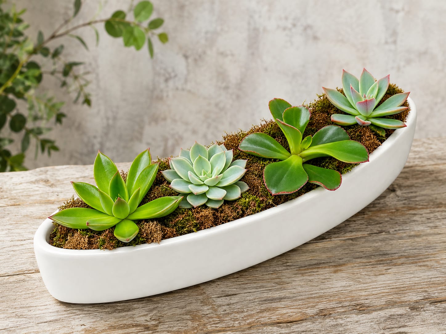 Succulent arrangement in a white boat-shaped planter