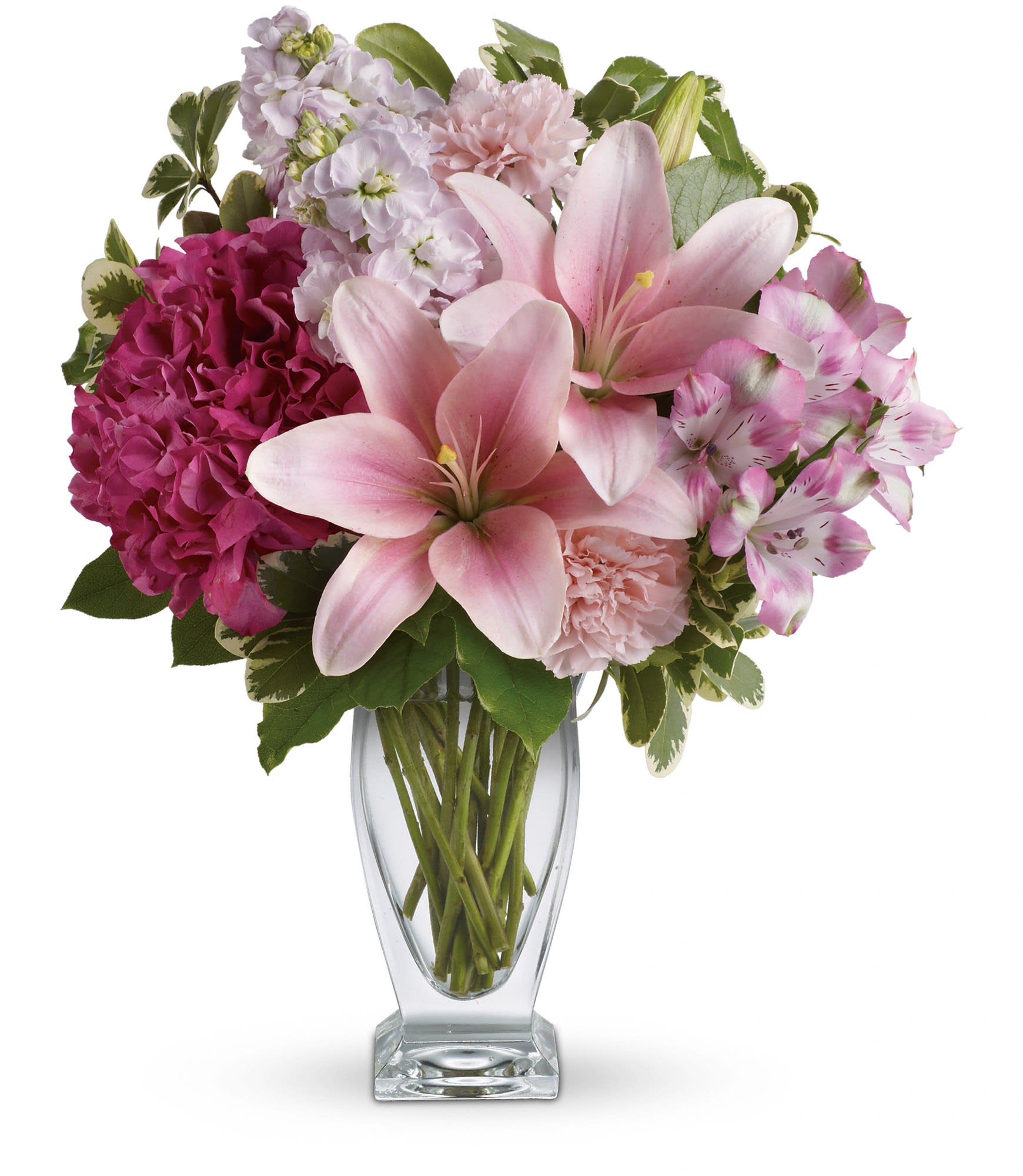 Blush of Love Bouquet - Celebrate your love with this beautifully blushing bouquet! Luxurious lilies, delicate hydrangea and fragrant stock delight her senses, soothe her soul, and tickle her fancy. It's a loving gift she won't soon forget!  Includes pink hydrangea, asiatic lilies, alstroemeria, carnations and stock, accented with fresh greens. Delivered in a Couture vase.  Approximately 14" W x 17" H  Orientation: One-Sided  As Shown : TEV21-1A Deluxe : TEV21-1B Premium : TEV21-1C