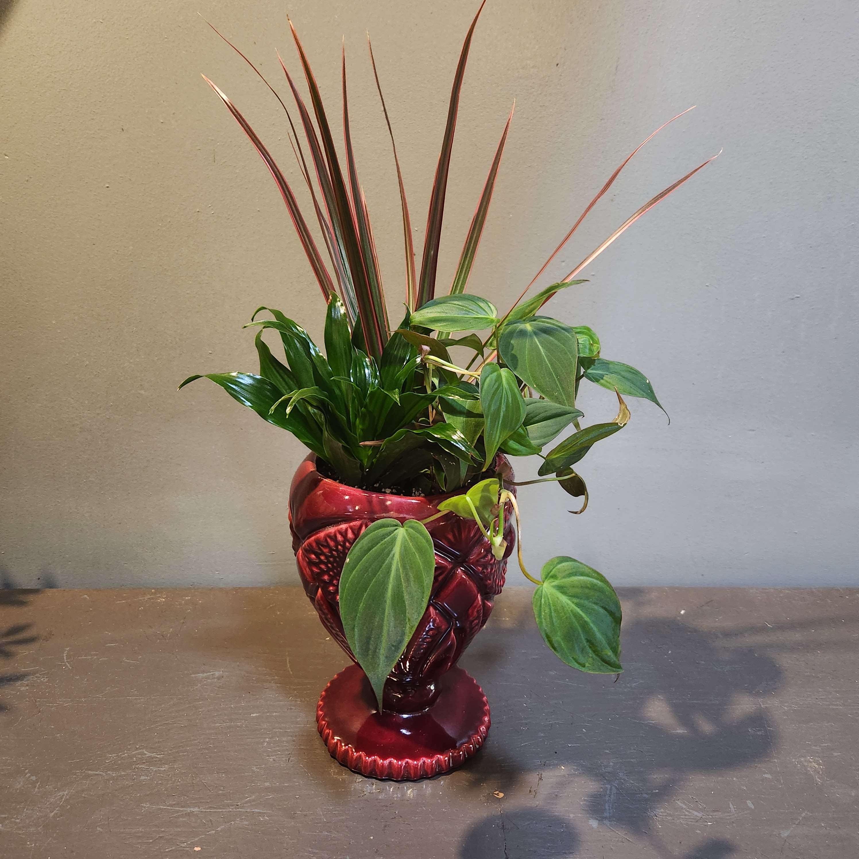 Potted green houseplant arrangement in a red decorative vase
