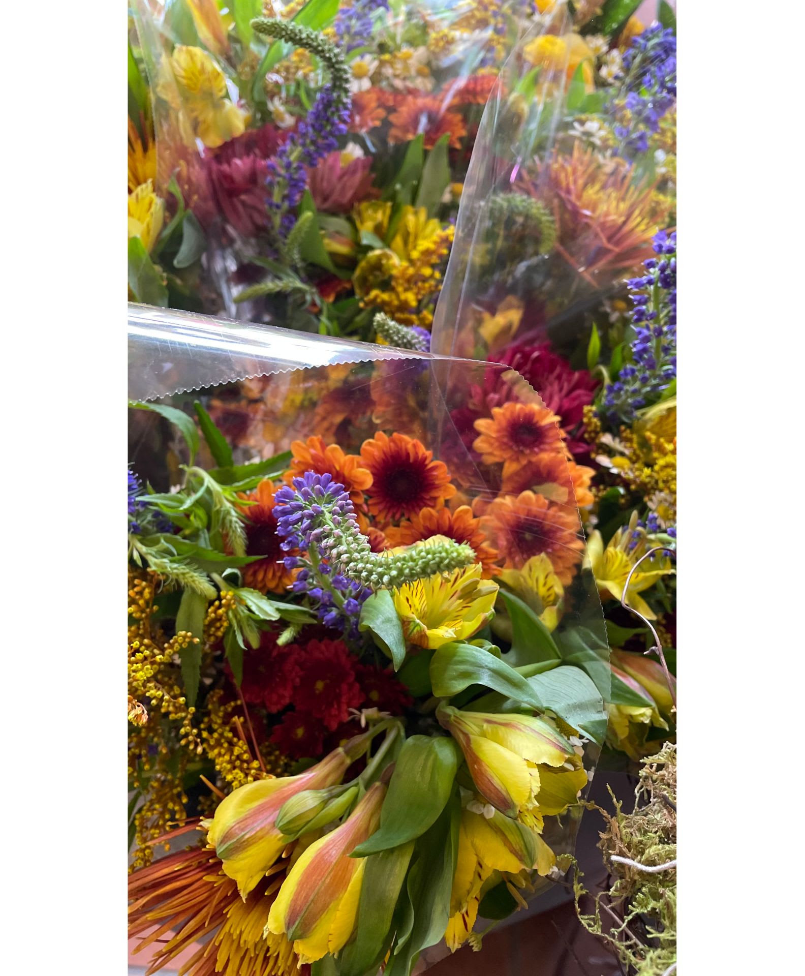 Bright mixed bouquet of yellow alstroemeria, orange mums, and purple blooms wrapped in clear cellophane