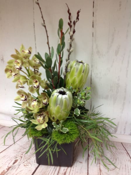 Tall green protea and cymbidium orchid arrangement with branches in a dark square vase