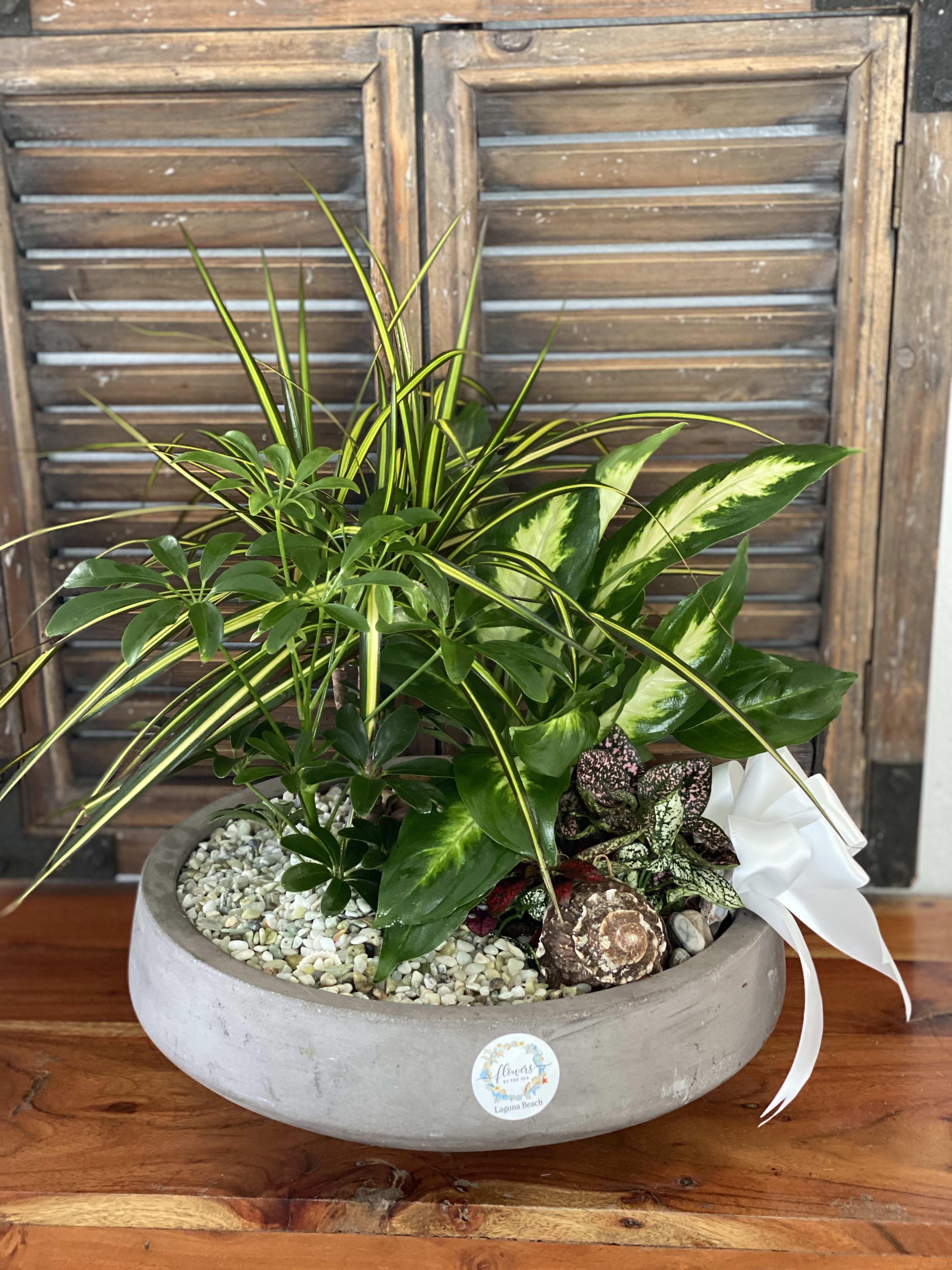 Mixed potted houseplants in a low gray planter with white ribbon