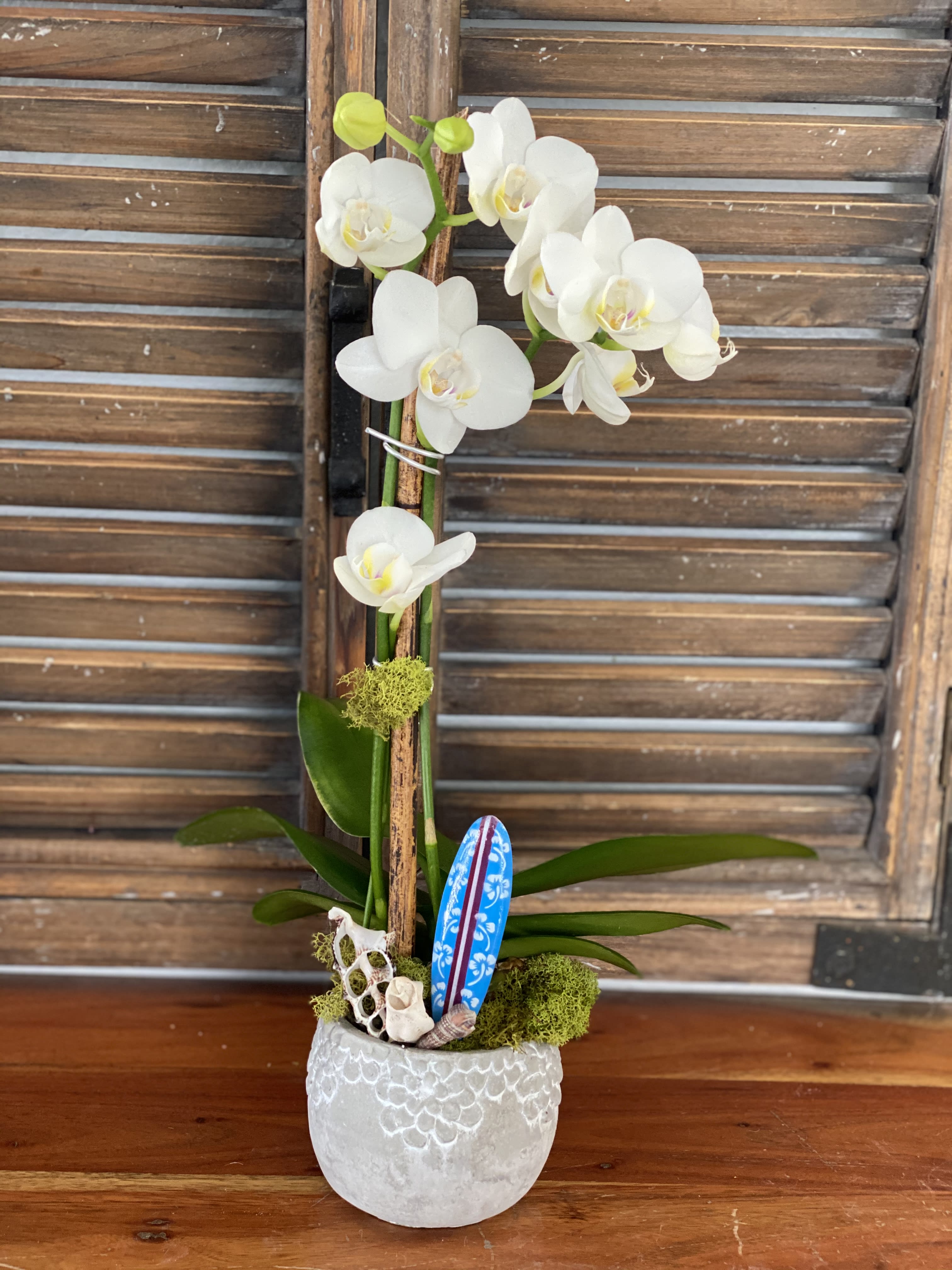 White orchid arrangement in a textured white pot with decorative accents