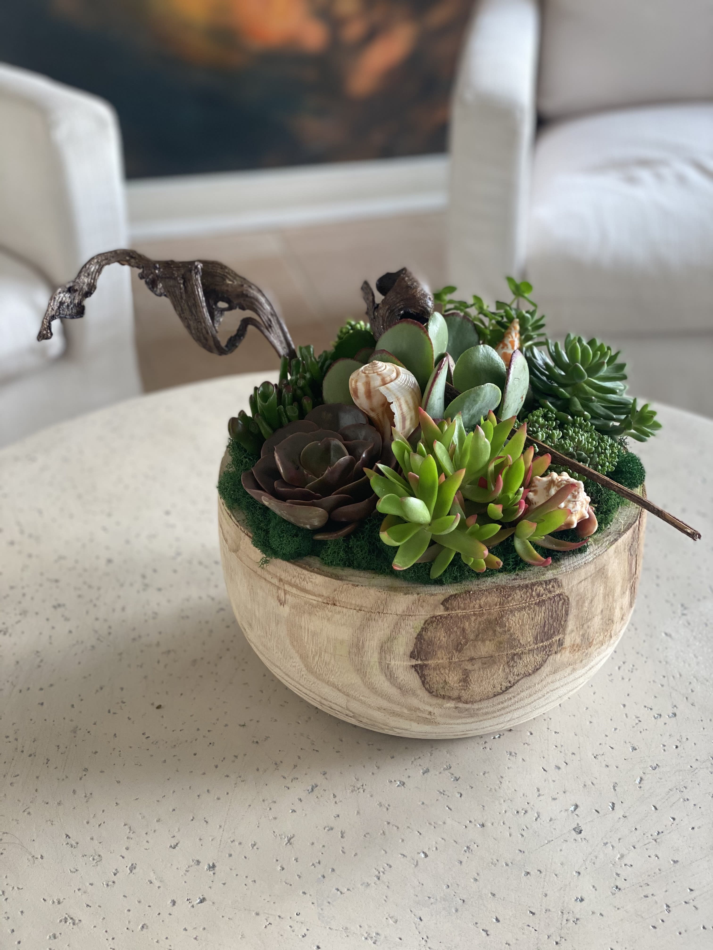 Succulent arrangement in a round wooden bowl with seashell accents