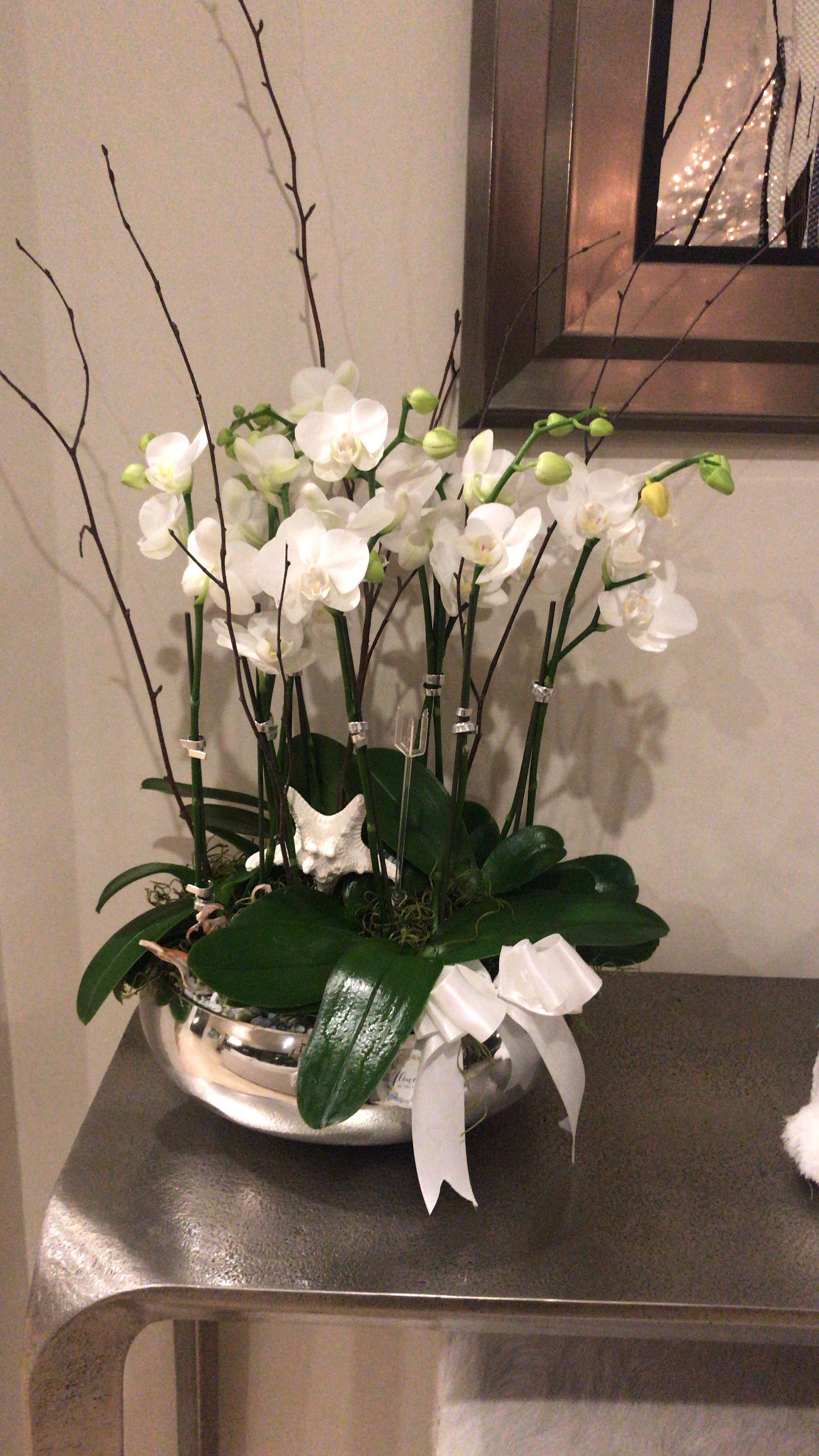 White orchids arranged in a silver bowl with a white ribbon