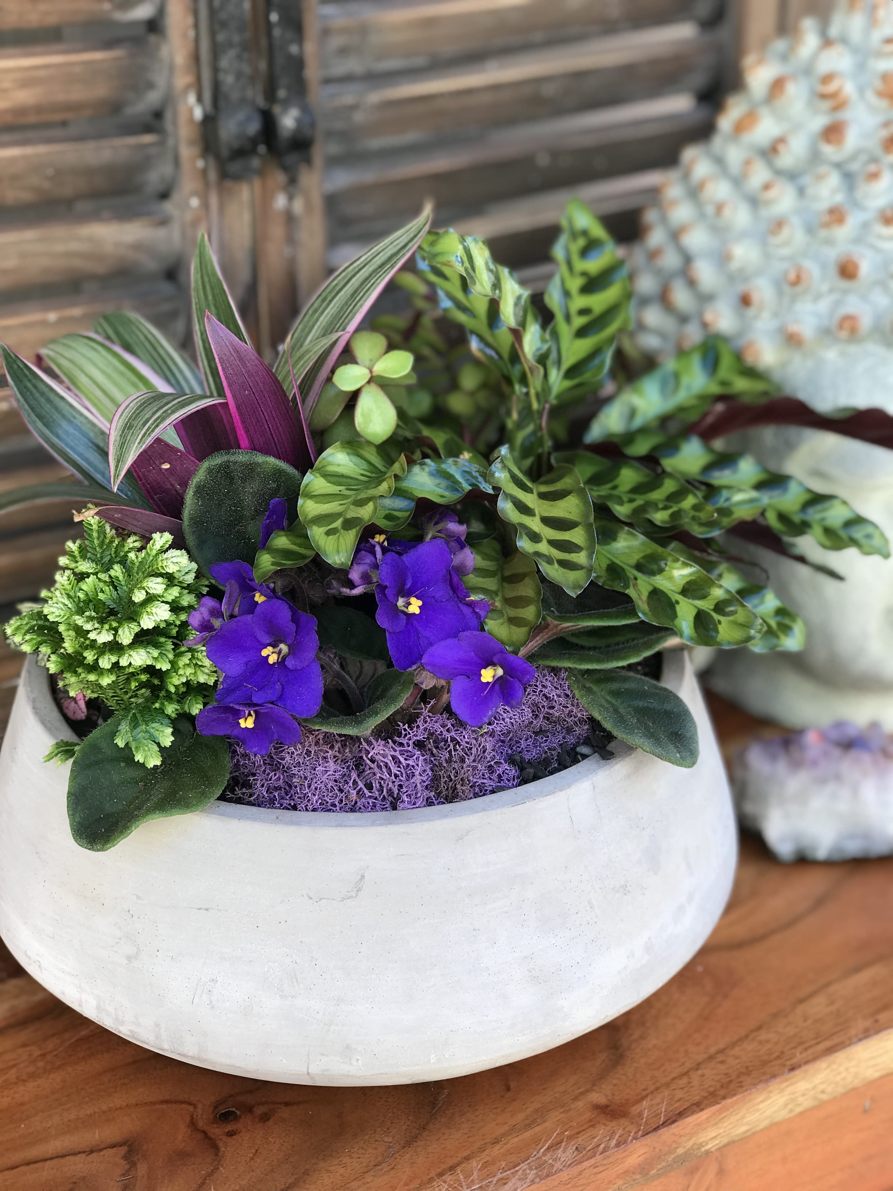 Mixed potted plant arrangement with purple flowers in a white bowl planter