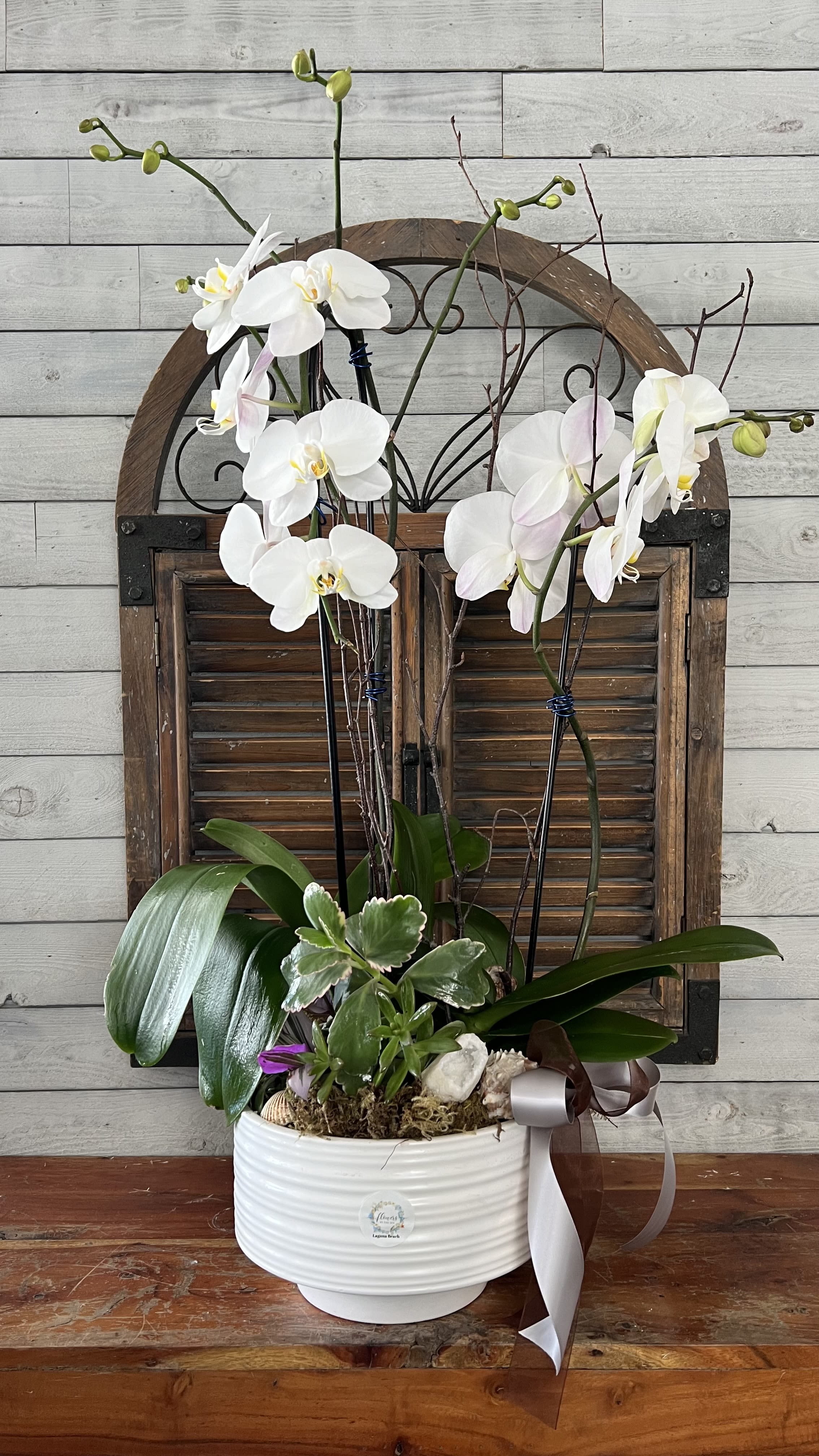 White orchid arrangement in a white ceramic pot with ribbon