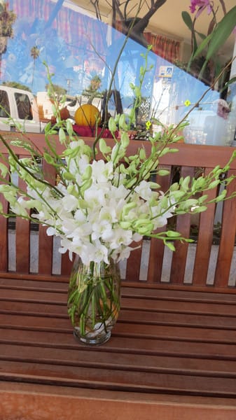 White orchid arrangement in a clear glass vase