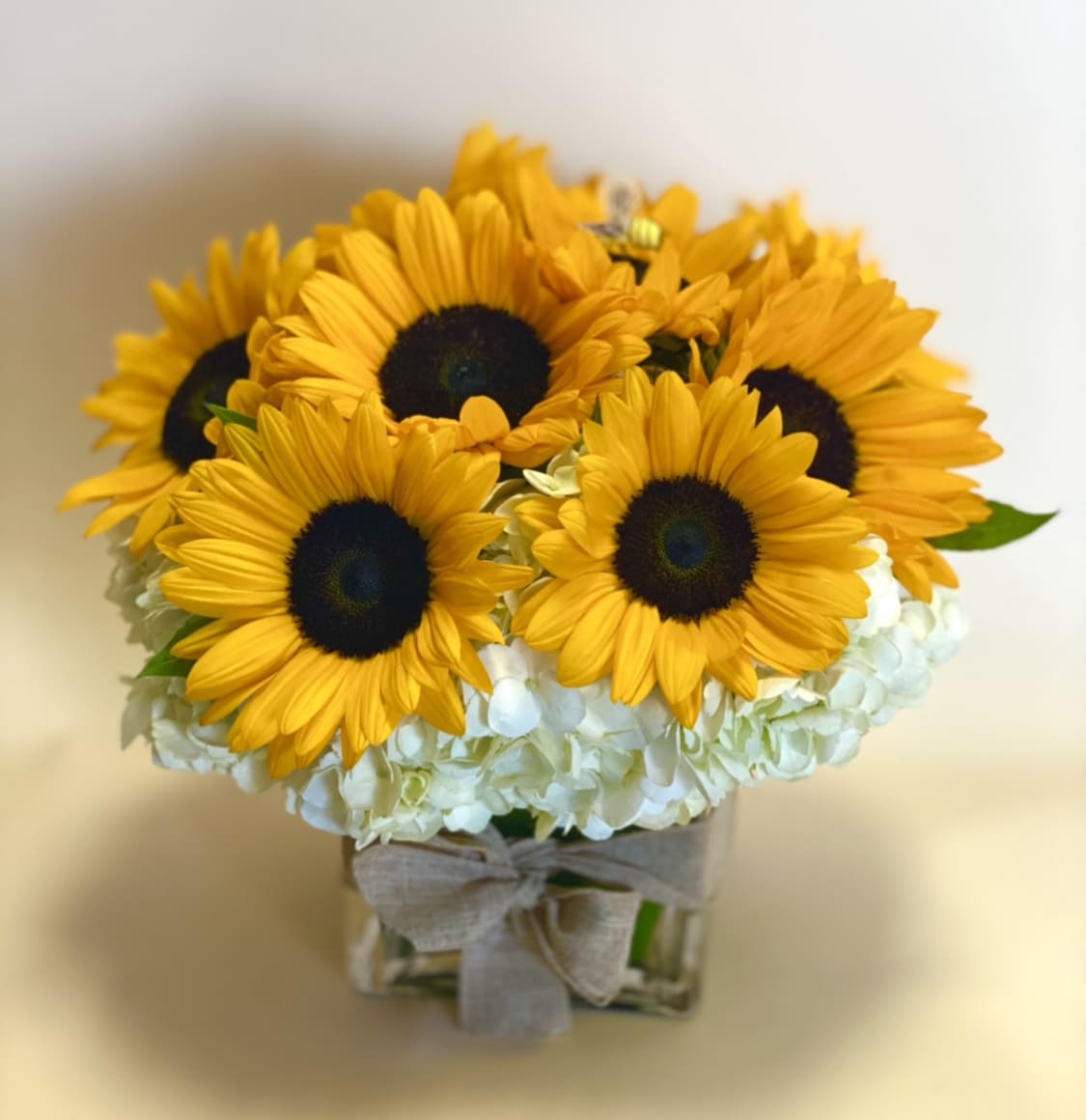 Sunflower bouquet in a square glass vase with a ribbon