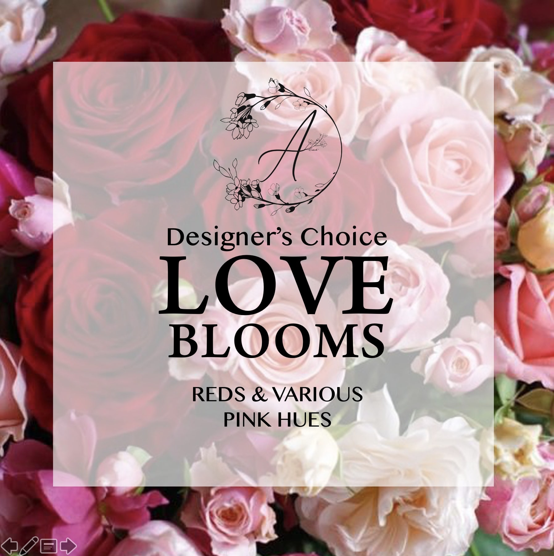 Pink and red roses with a text overlay reading Love Blooms