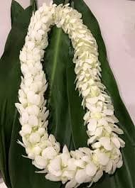 White flower lei draped over large green leaves