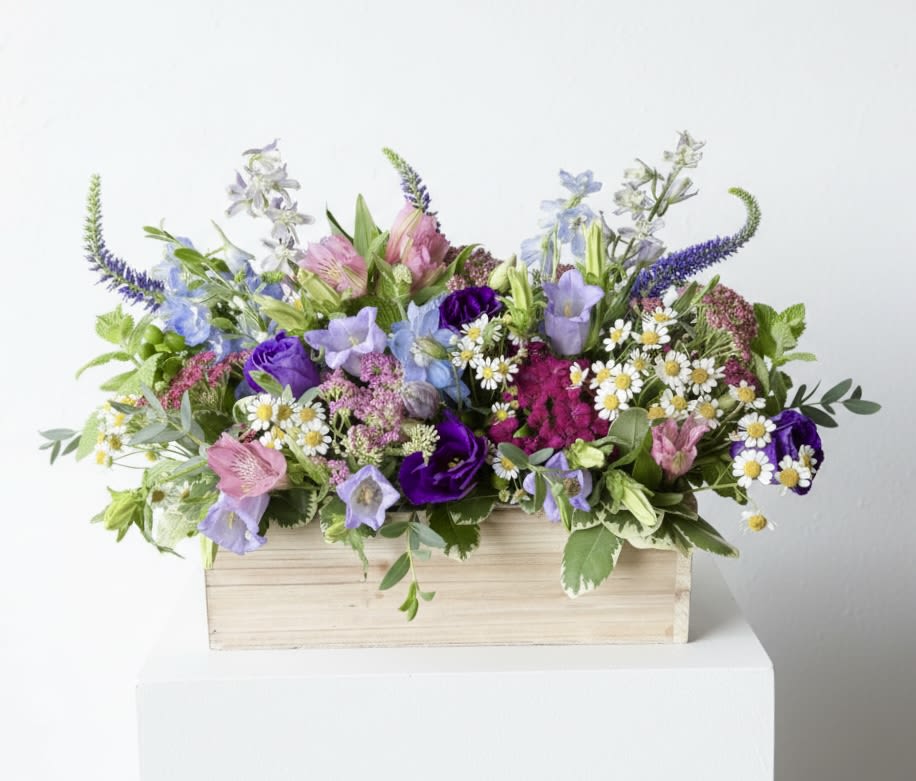 Wildflower love  - A long and low wooden box filled with all the pretty colors of summer wildflowers! This arrangement may vary week to week depending on availability but will always have the wildflower look with delphinium, larkspur, and Veronica to name a few! 