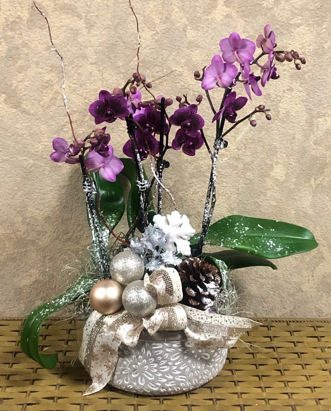 Winter Wonderland Phalaenopsis Orchid Plant - Type of Flowers: 2 Orchid Plants with pine cones, band silver ornaments in a silver pot and bow. Availability: All year round Substitute Available: May substitute color or orchid depedning on availability Design View: All Facing View Photo shown: Regular 