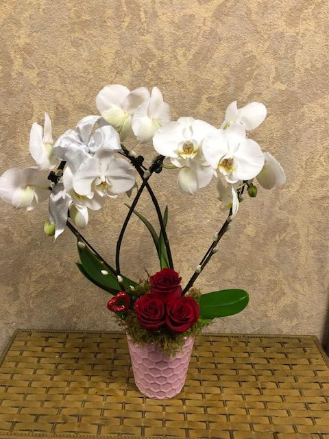 Heart-Shaped Phalaenopsis Orchid with Red Roses - Valentine's Heart-Shaped Phalaenopsis Orchid with Pussy Willow, Fresh Red Spray Roses, and ribbon in a purple pot.
