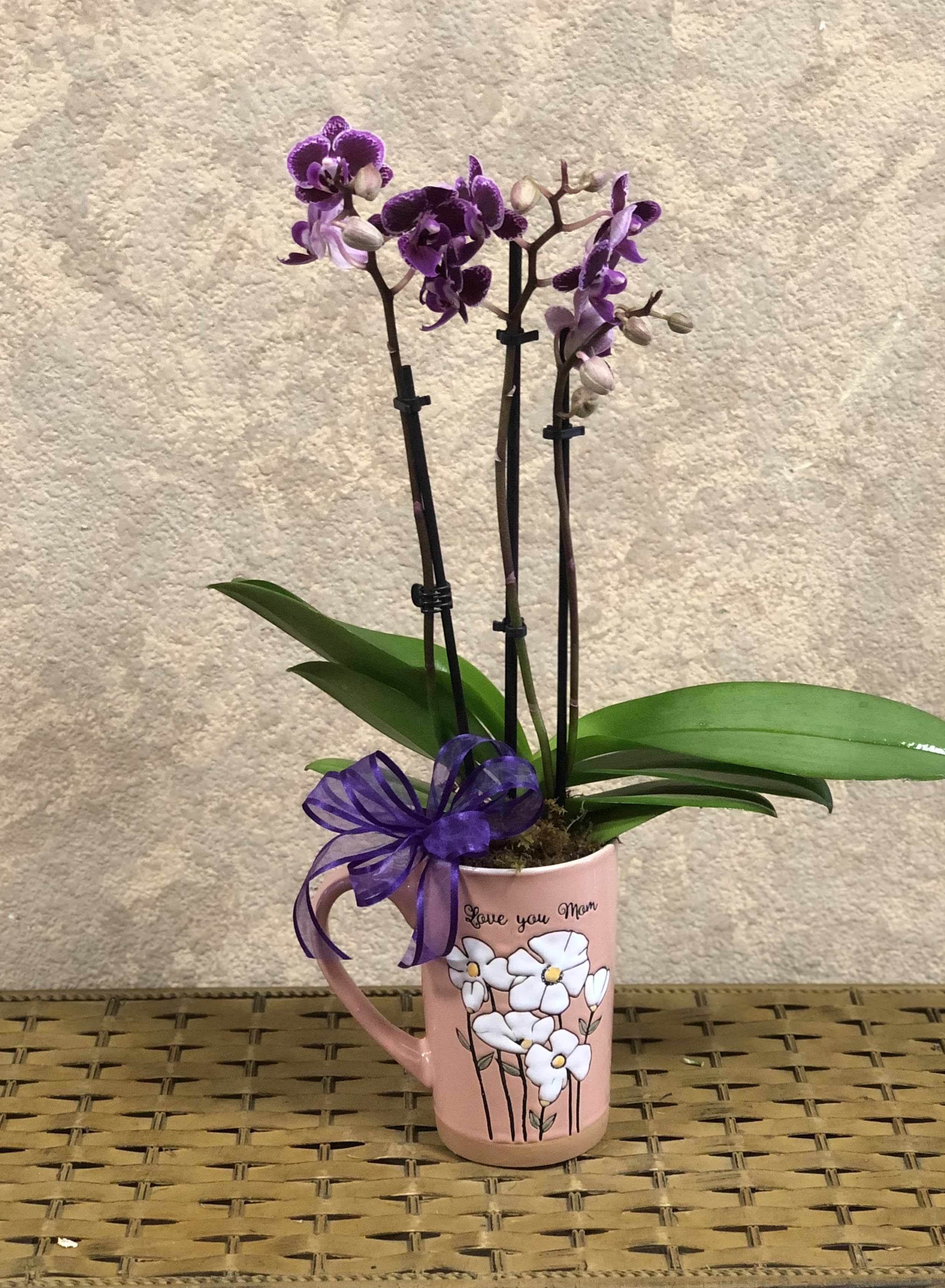 Love you Mom - Send mom some love with this Phalaenopsis Orchid in a keepsake mug.  Limited availability.