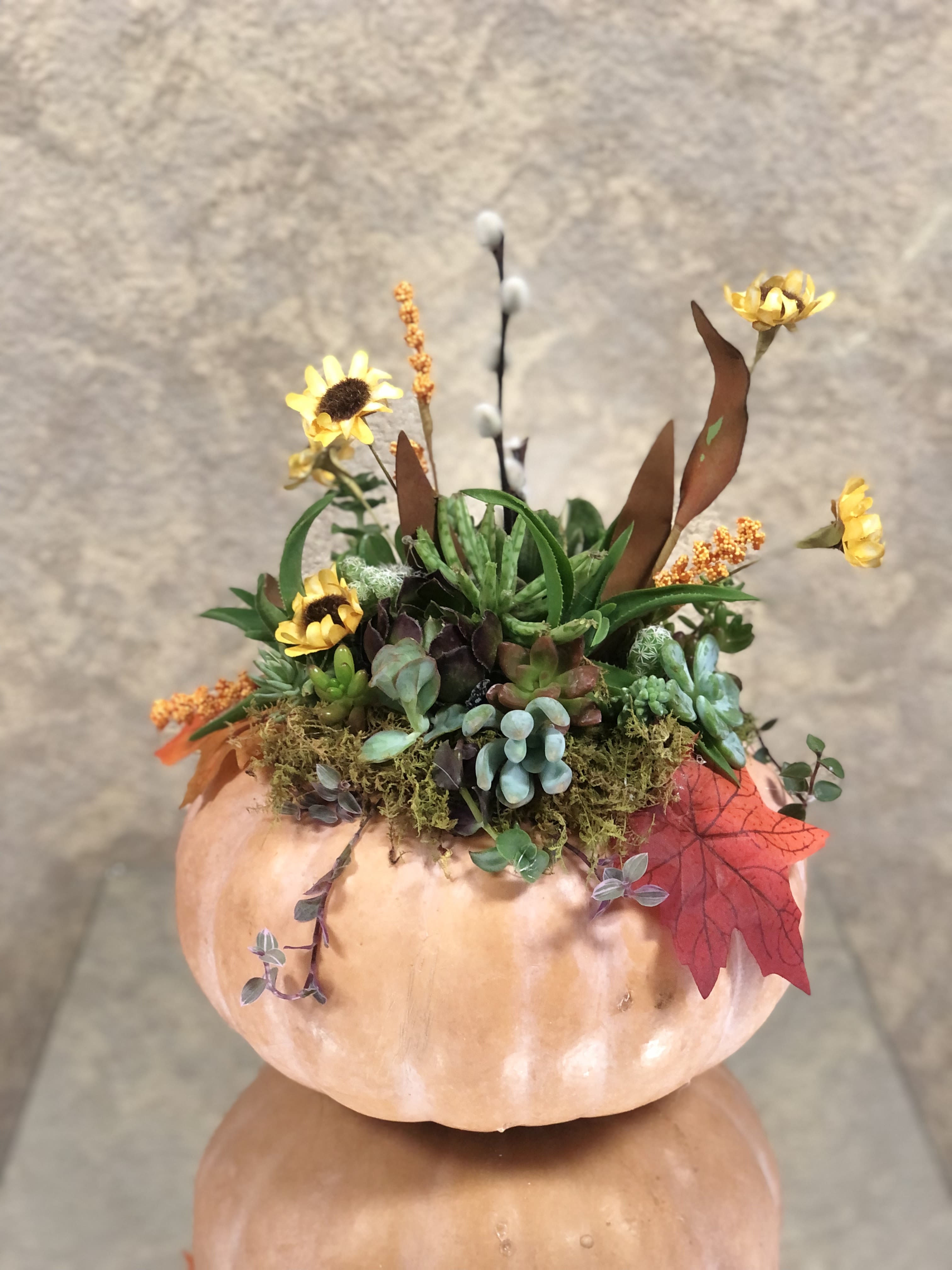 Silk Flowers and Succulent Pumpkin Dish - Live pumpkin centerpiece with silk flowers.  Place inside on a table and enjoy for many months.  Succulents will grow roots in moss and can be planted in pots when you are ready!