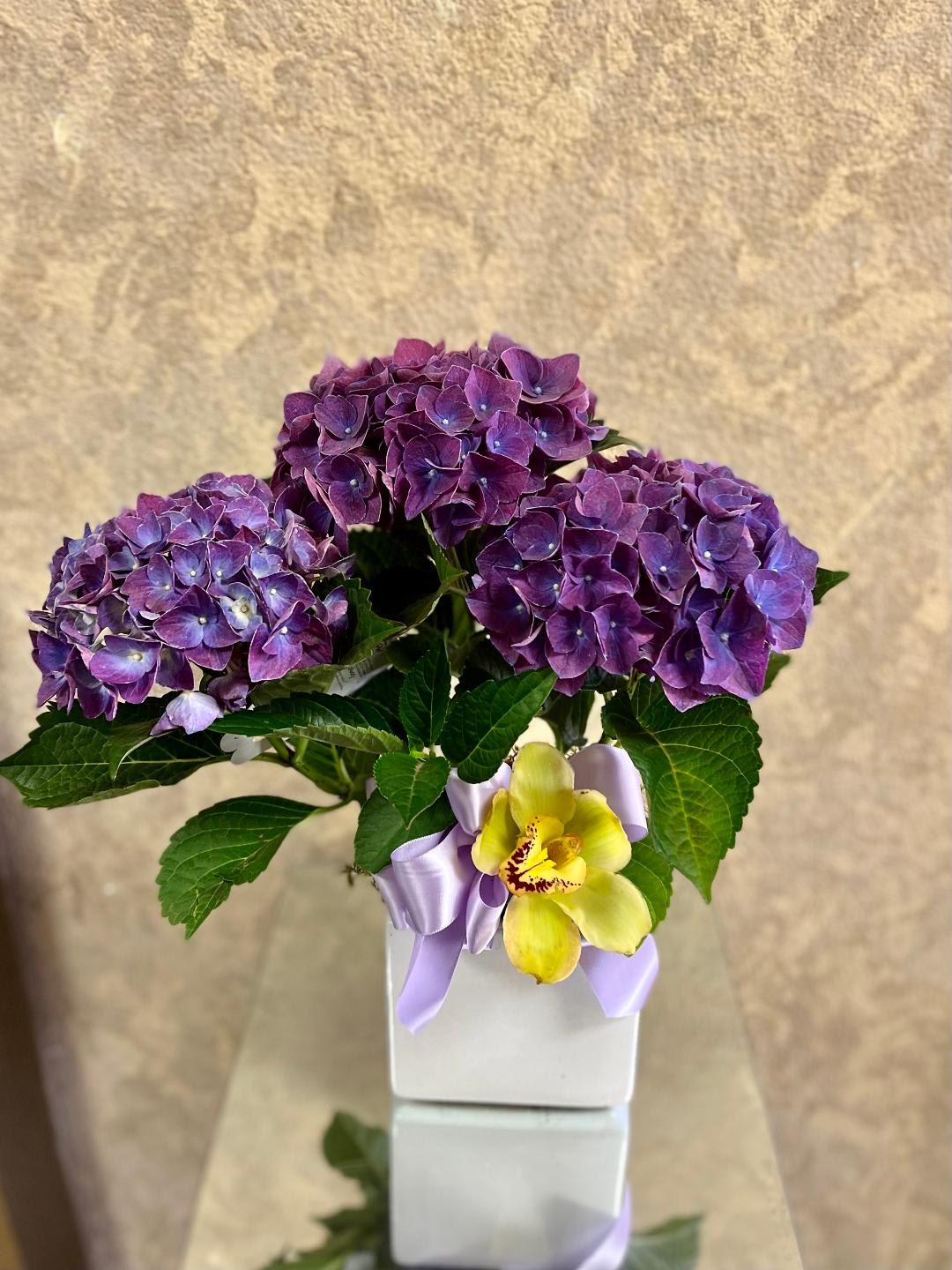 Purple Hydrangea Plant with Cymbidium Orchid - Purple Hydrangea plant with cymbidium orchid. Perfect for Get Well, Thank you, or Just Because.
