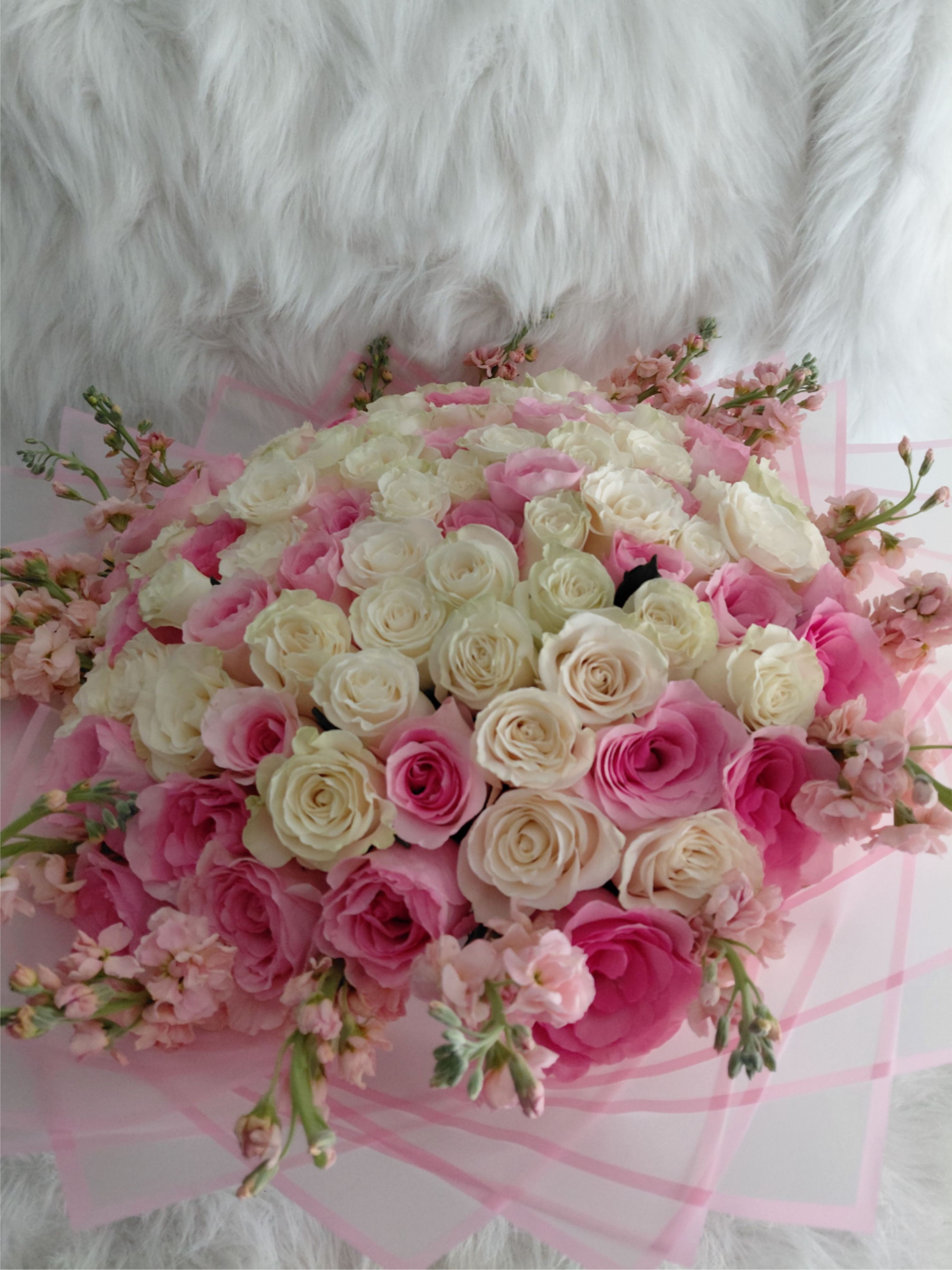  100 Rosas rosadas y blanca. Pink and white roses . - Rosas rosa y blanca y stock un ramo de rosas muy hermoso y muy aromático con cinta personalizado.