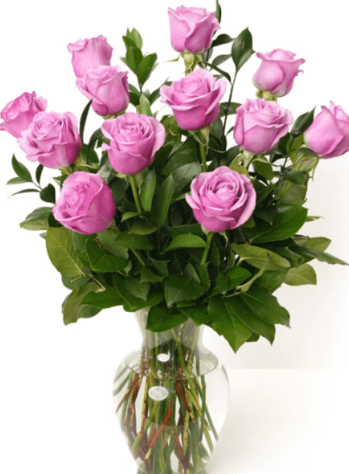PURPLE OASIS ROSES - Soft pink roses gathered in a clear glass vase create a timeless expression of love and celebration-perfect as an anniversary roses bouquet or a romantic gift. The open, layered blooms vary in stage to form a full, rounded silhouette that reads as gently romantic; the overall look promises to make the person you're thinking of feel cherished and seen.  About a dozen pink roses are arranged upright with abundant dark green foliage filling the lower half, giving the design classic florist structure and a fresh contrast to the pale petals. The clear glass vase keeps the presentation clean and traditional while letting the stems show through, making this arrangement equally suited for everyday gifting, Valentine's Day, or marking a special milestone.