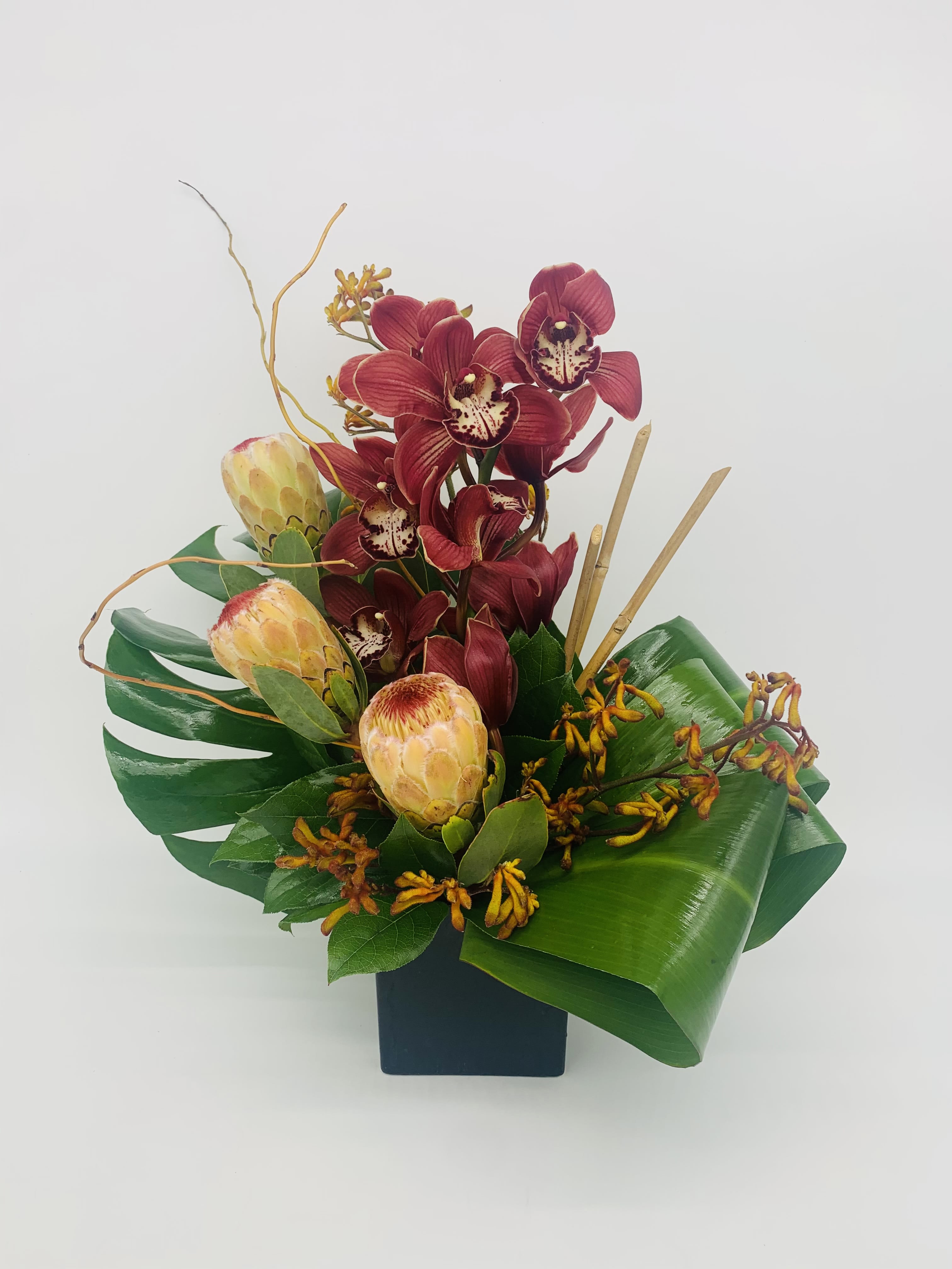 Tropical arrangement with red orchids and pale protea in a black cube vase with bold green leaves.
