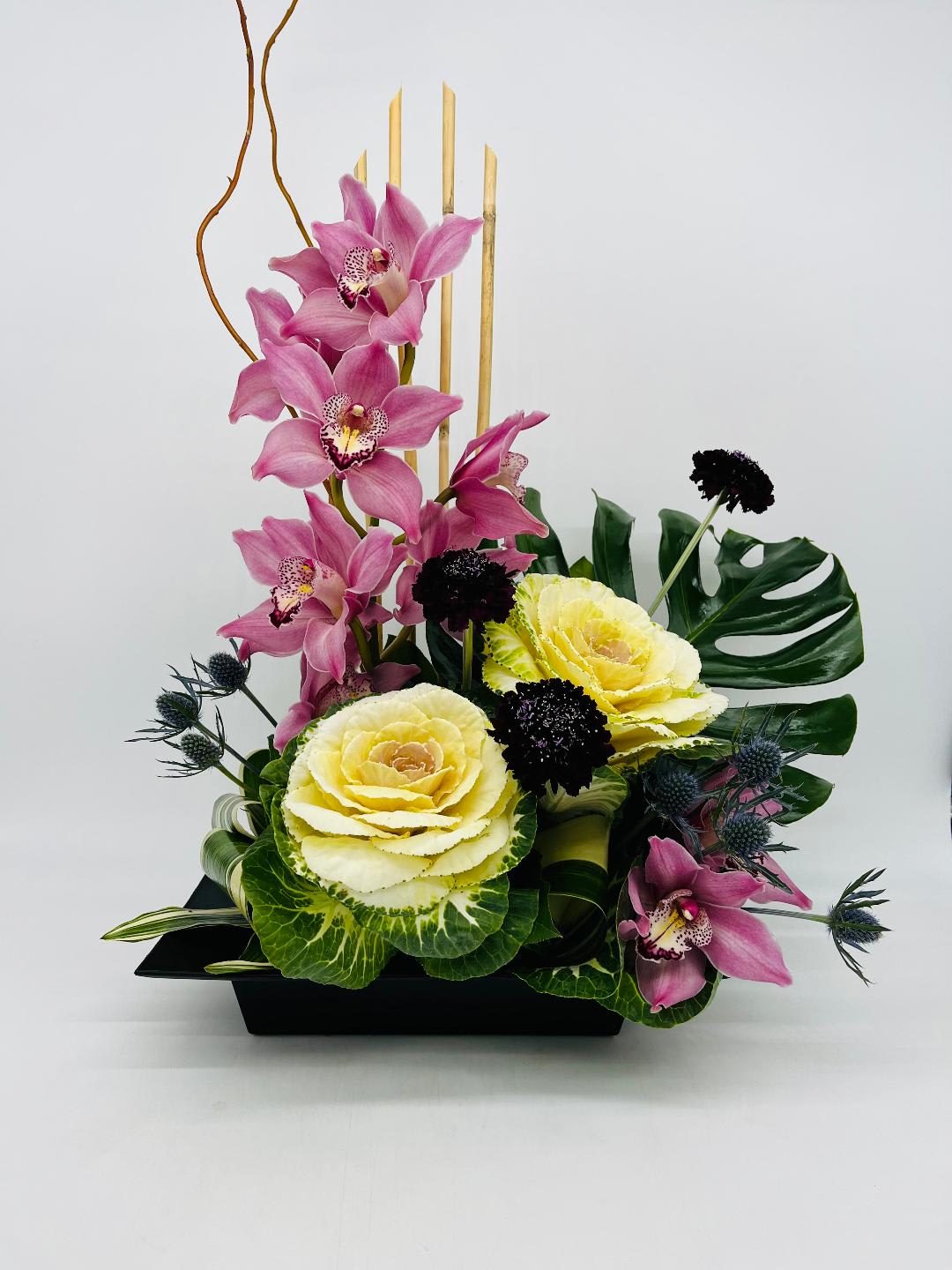 Contemporary arrangement with pink orchids, yellow ornamental cabbages and dark accent blooms in a black tray.