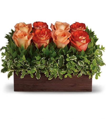 Low arrangement of peach and orange roses in a rectangular wooden box with lush foliage.
