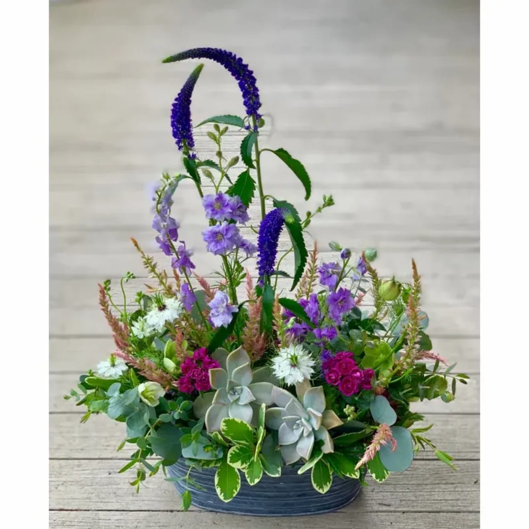 Mixed floral arrangement with purple spikes and succulents in a low blue container