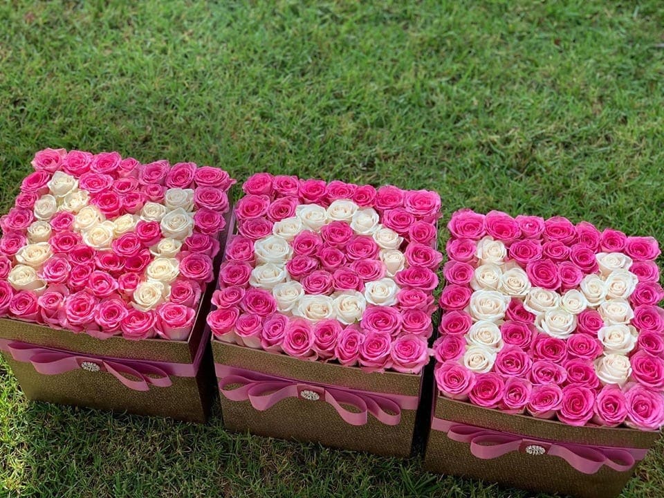 Three square boxes of pink and white roses arranged on grass