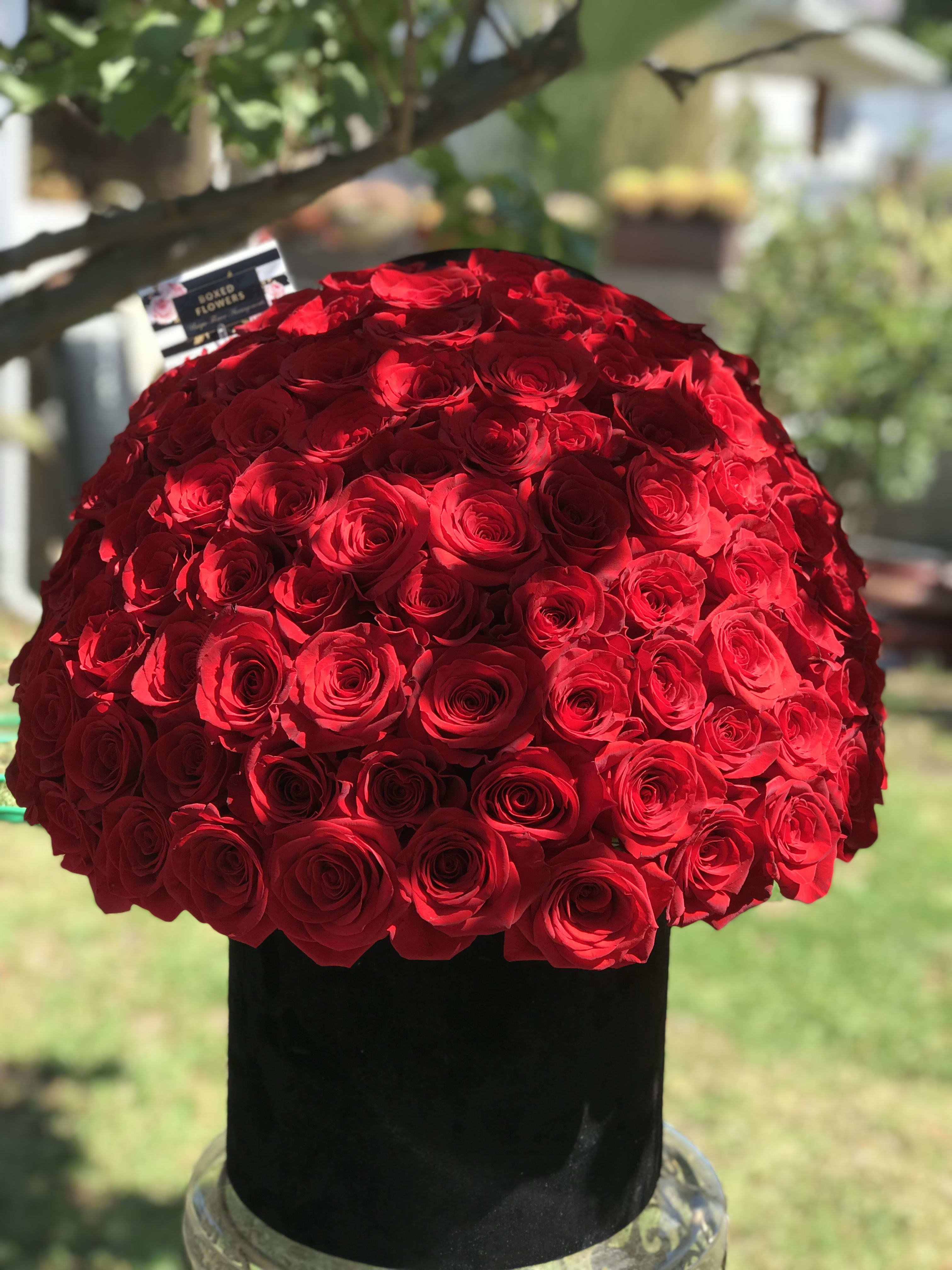 Large dome of red roses in a black hatbox