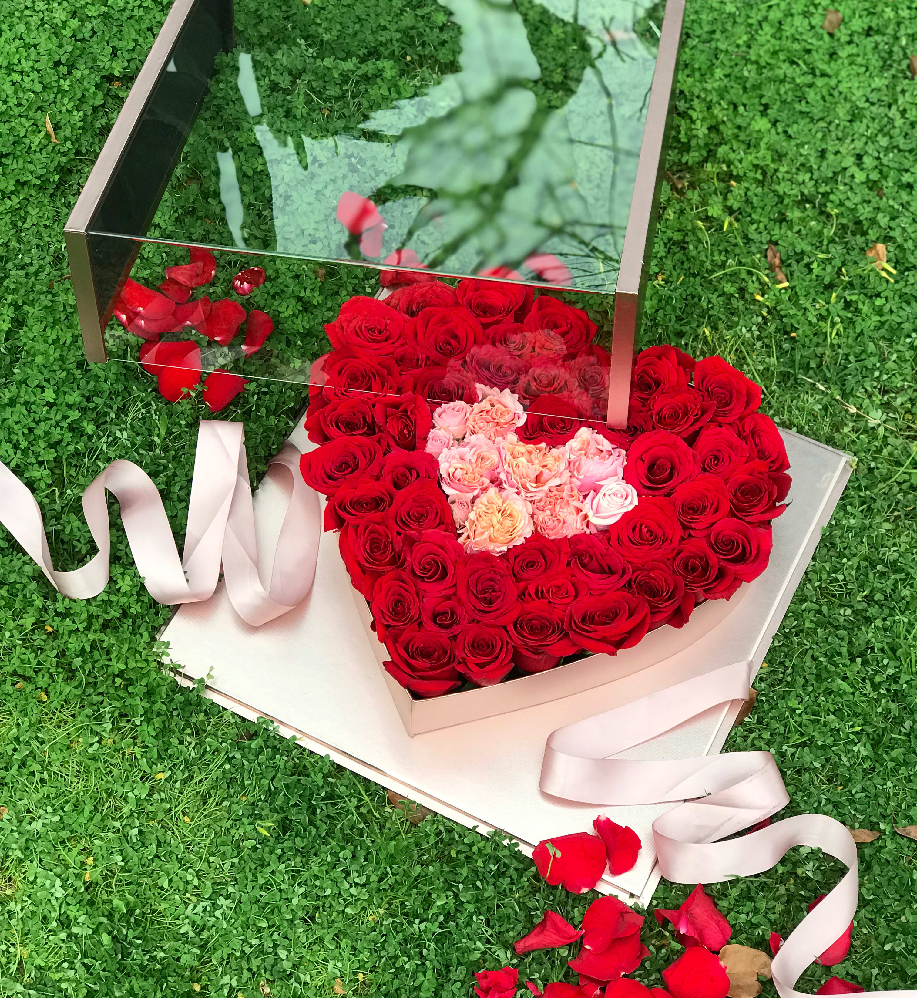 Heart-shaped box of red and pink roses with a ribbon on grass