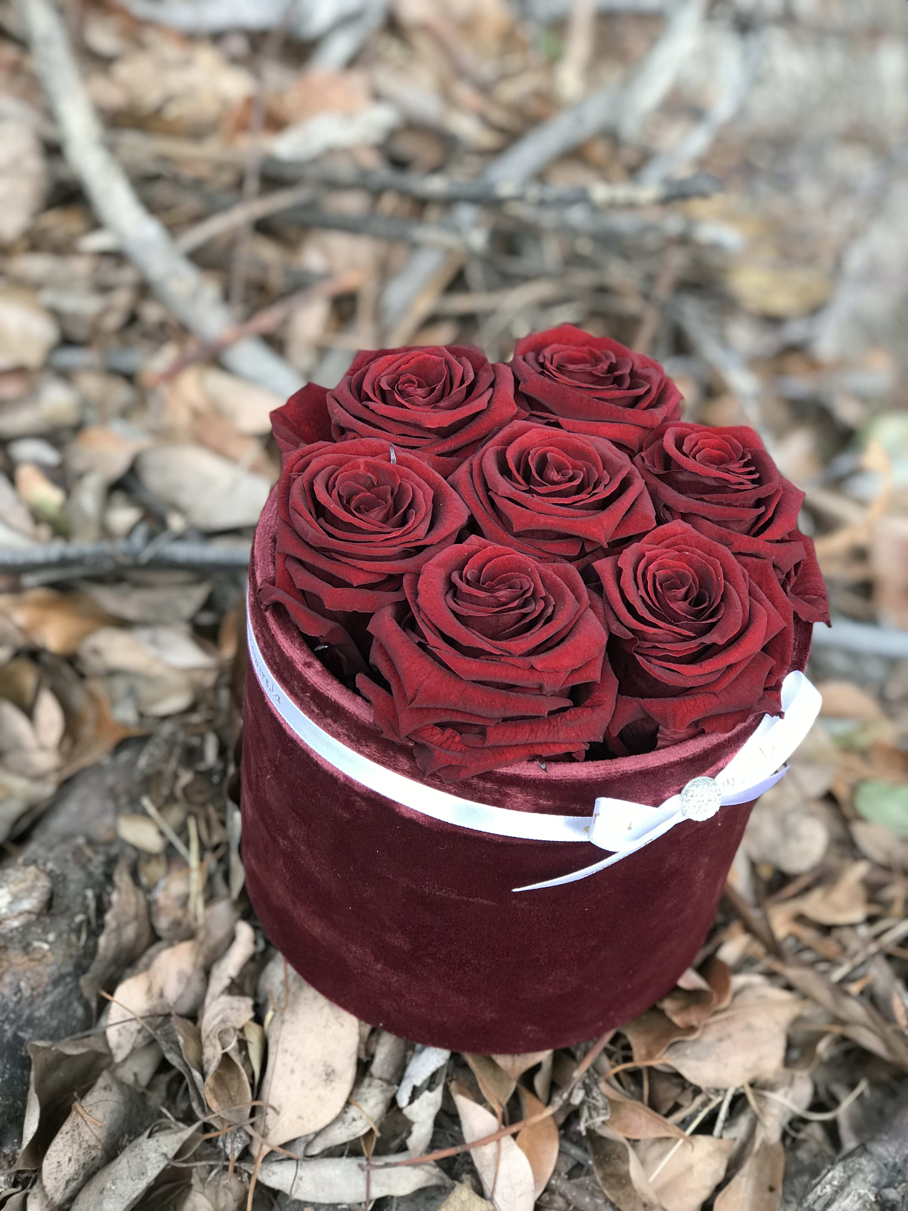 Red roses arranged in a round velvet box with a white ribbon