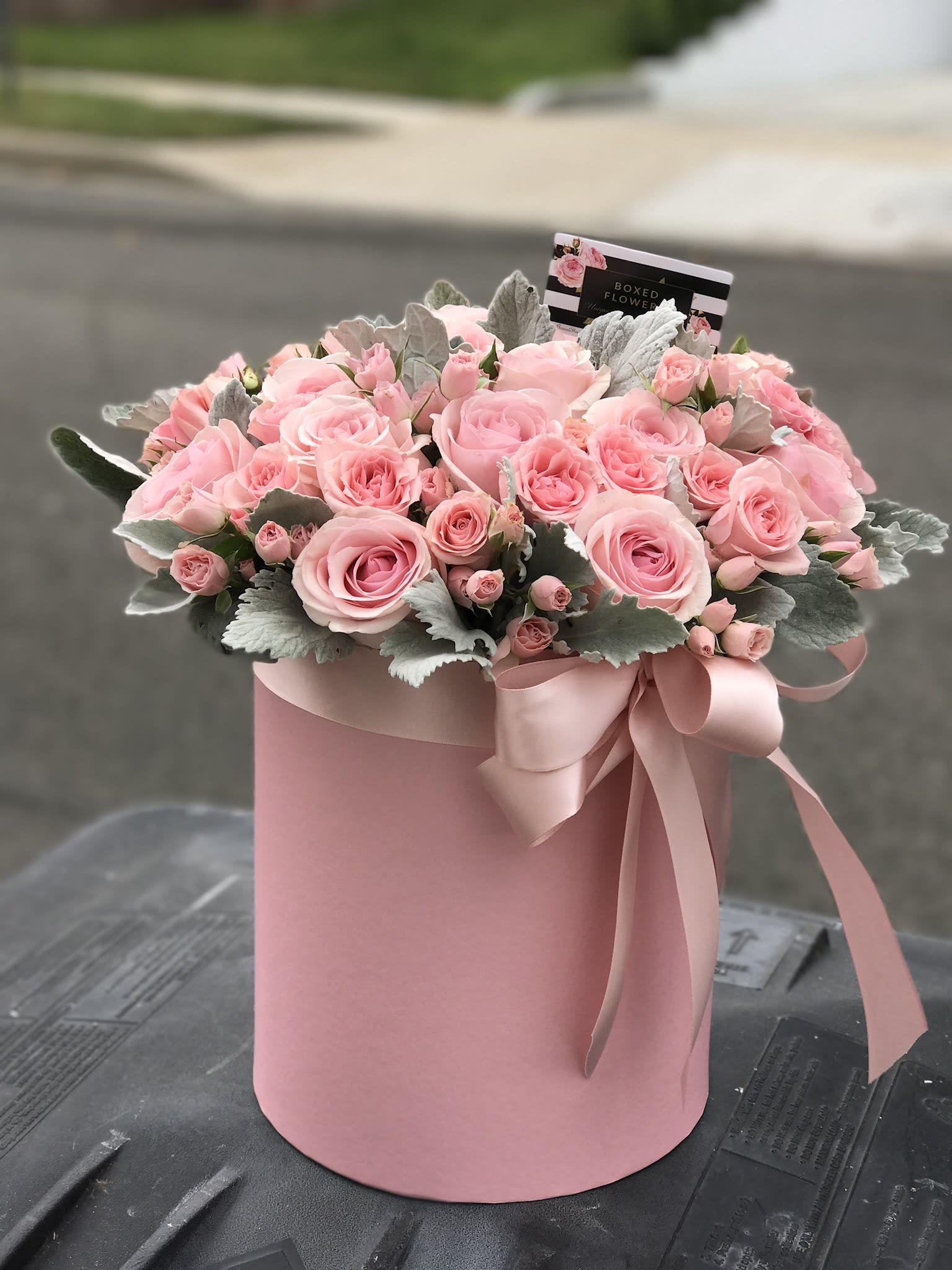 Roses and Dusty Miller box  - Cute little arrangement to say that just because....