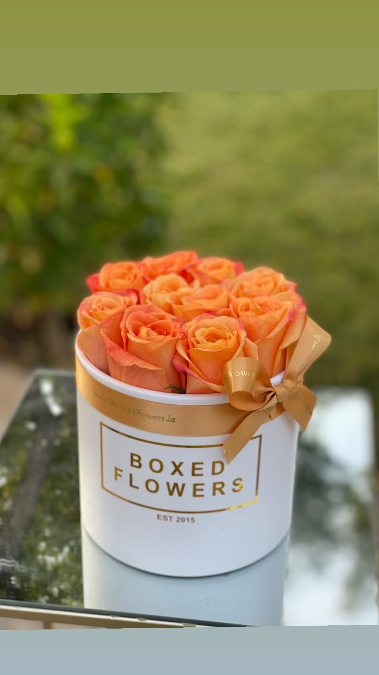 Orange roses arranged in a white round box with a ribbon bow