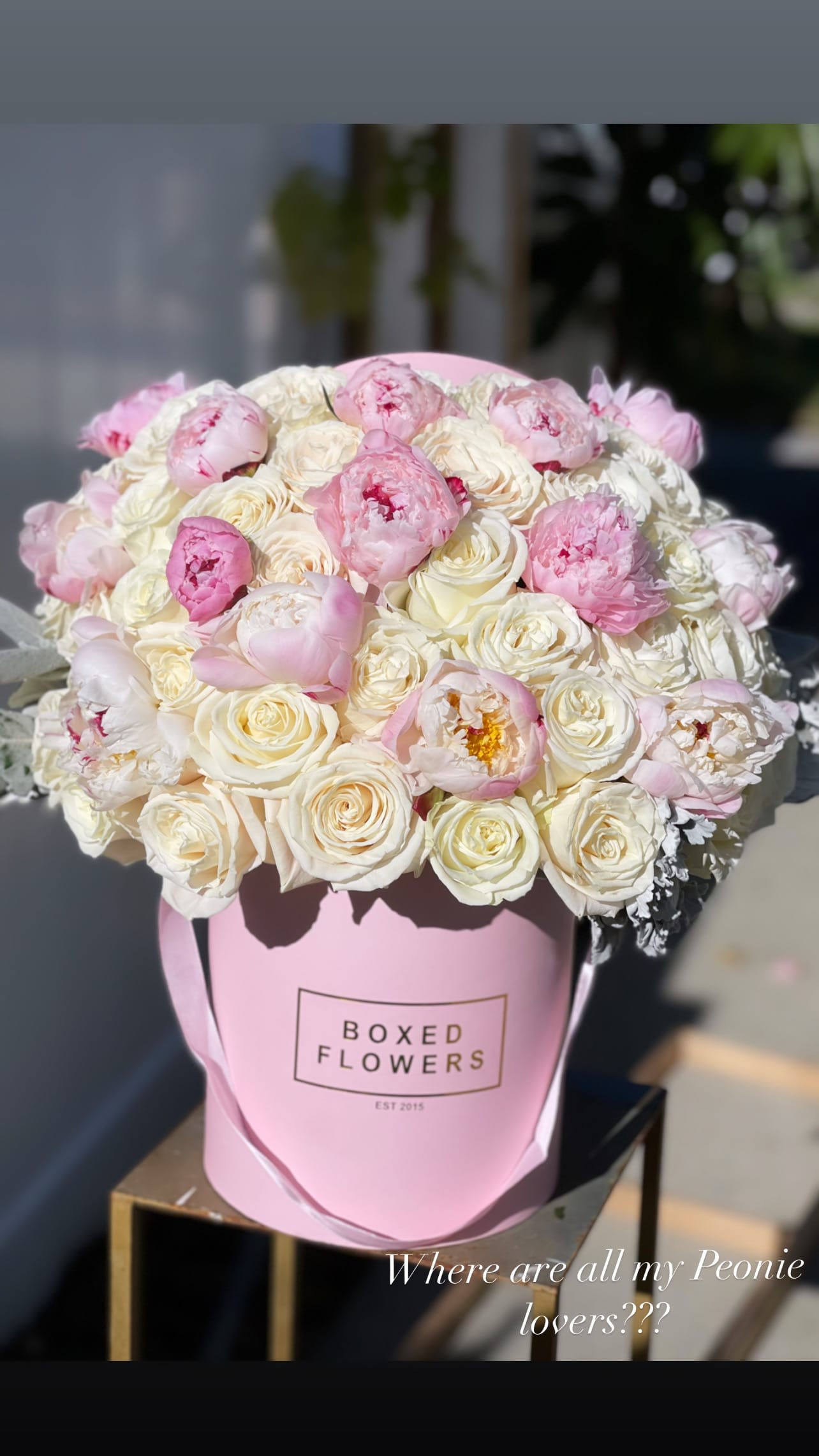 Pink and white bouquet of peonies and roses in a pink box