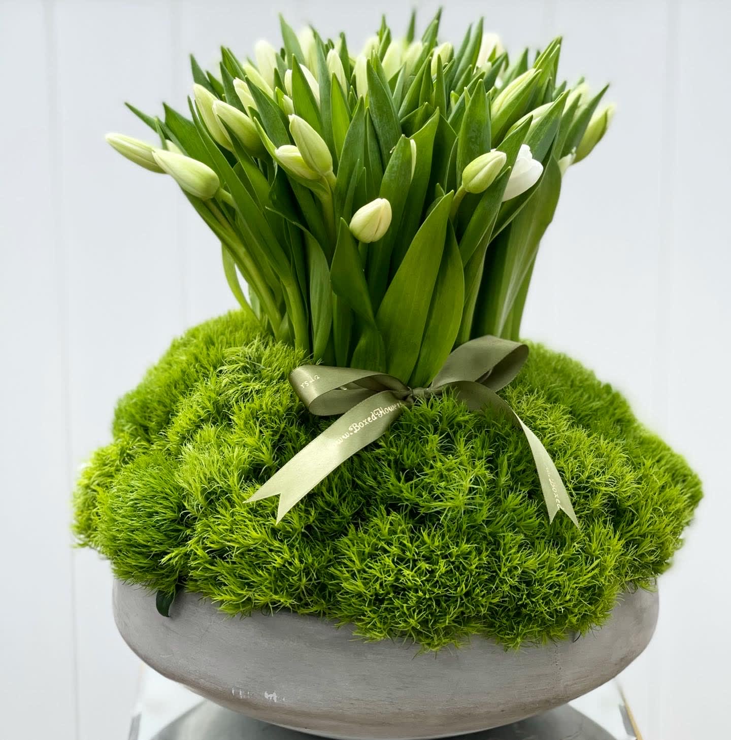 White tulip buds arranged in a moss-covered bowl with a ribbon