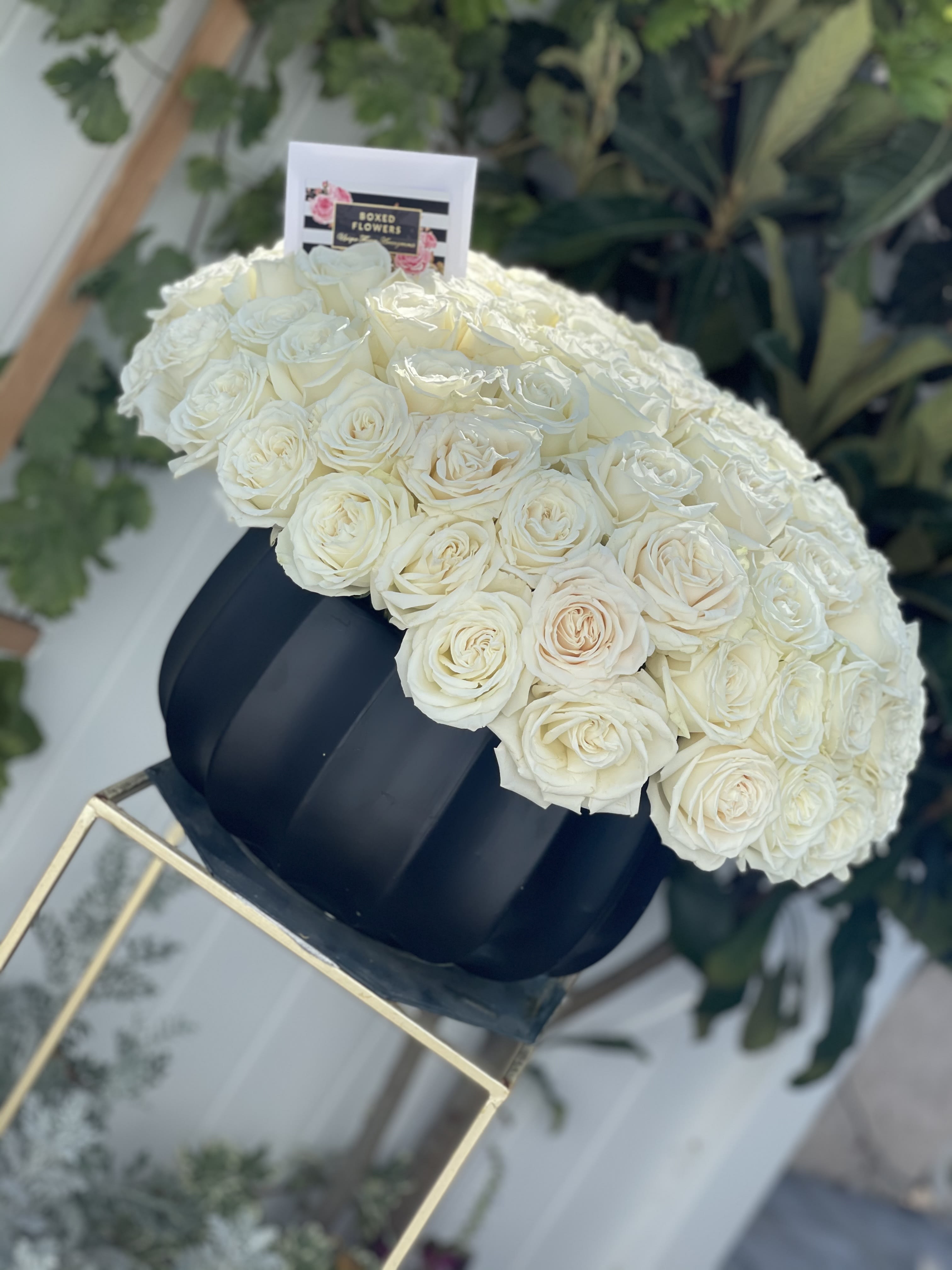 Large dome of white roses in a black hat box