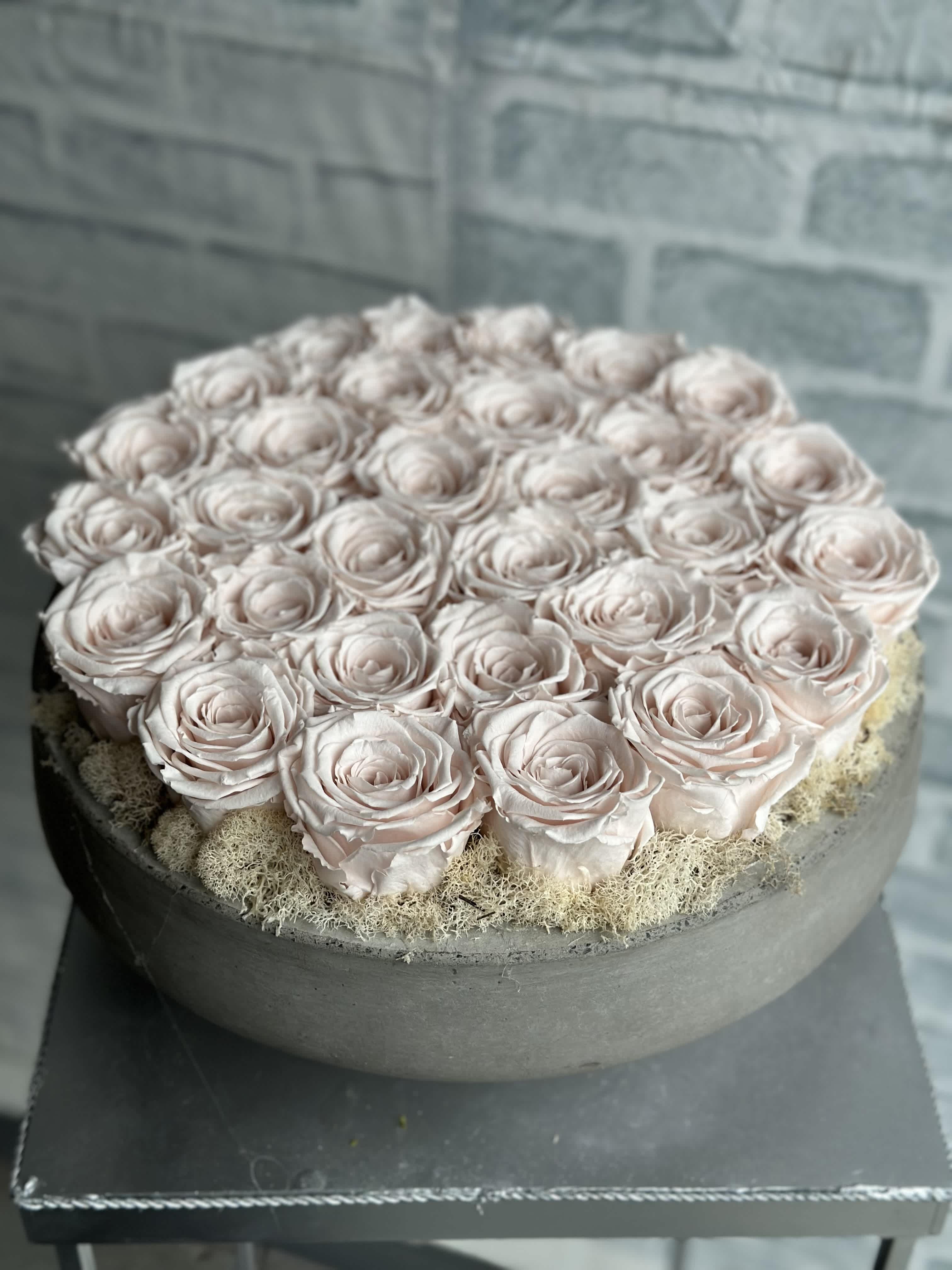 30 blush preserved rose cement vase - Rustic and elegant cement vase filled with 30 blush, everlasting roses. 