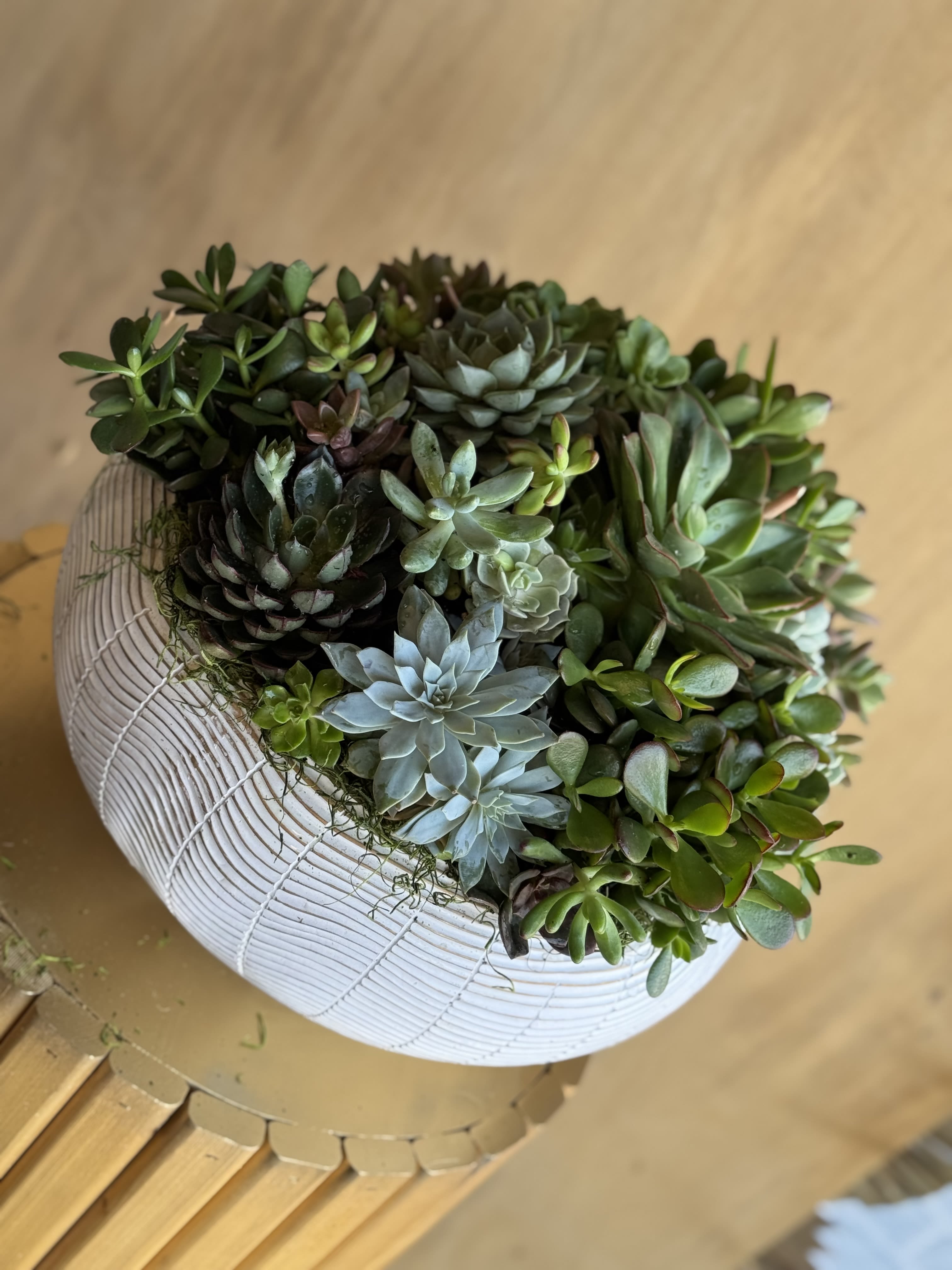 Evergreen Harmony - A modern ceramic planter filled with an elegant mix of fresh succulents in varied textures and shades of green. This long-lasting arrangement brings a touch of natural beauty and tranquility to any space.